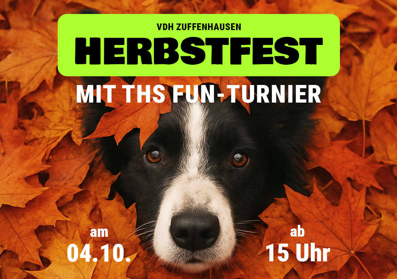 Herbstfest mit THS Fun-Turnier am 04.10.25 🍂