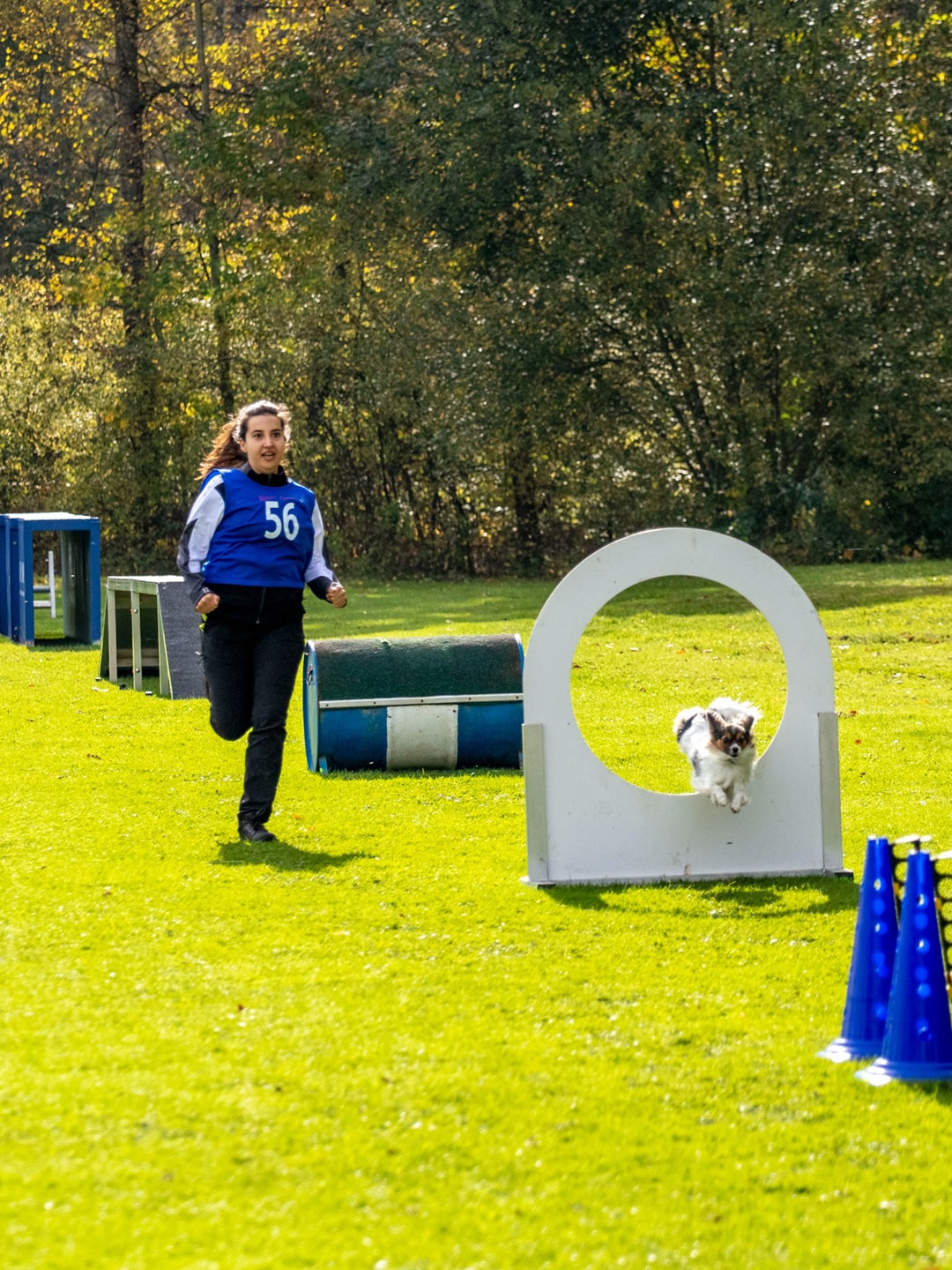 Impressionen vom THS Turnier beim VdH Metzingen