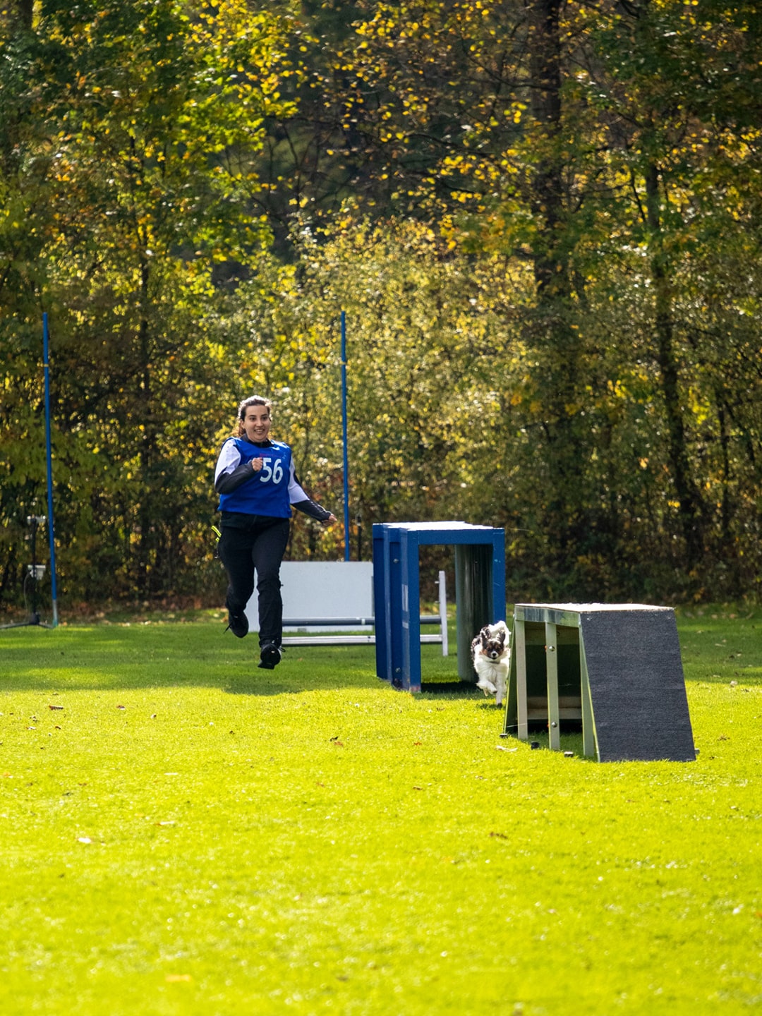 Impressionen vom THS Turnier beim VdH Metzingen