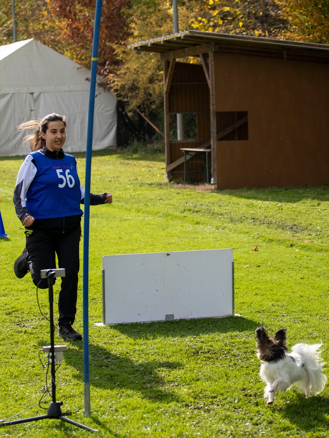 Impressionen vom THS Turnier beim VdH Metzingen
