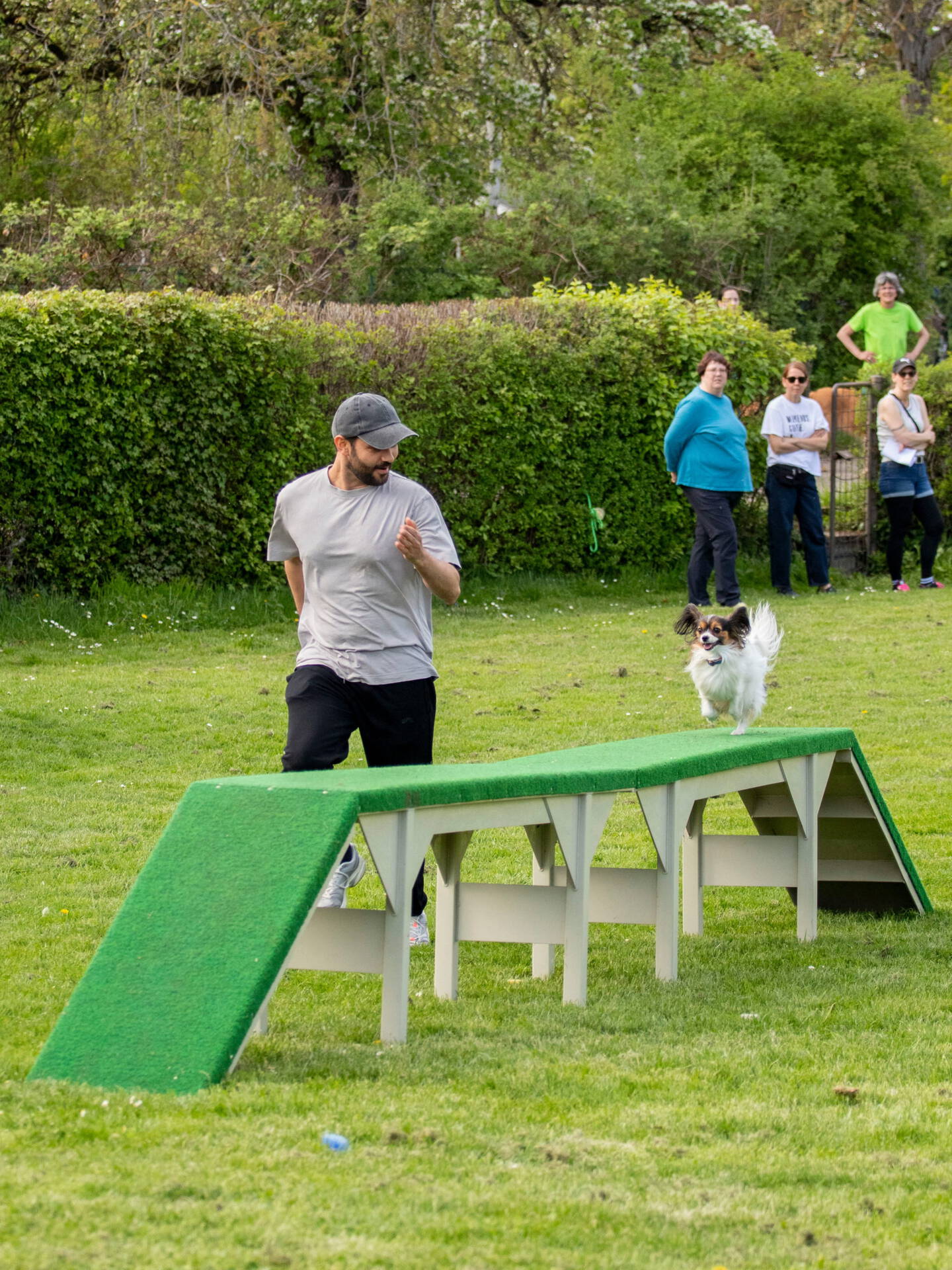VdH Zuffenhausen SWVH KG 10 Kreismeisterschaft 2026