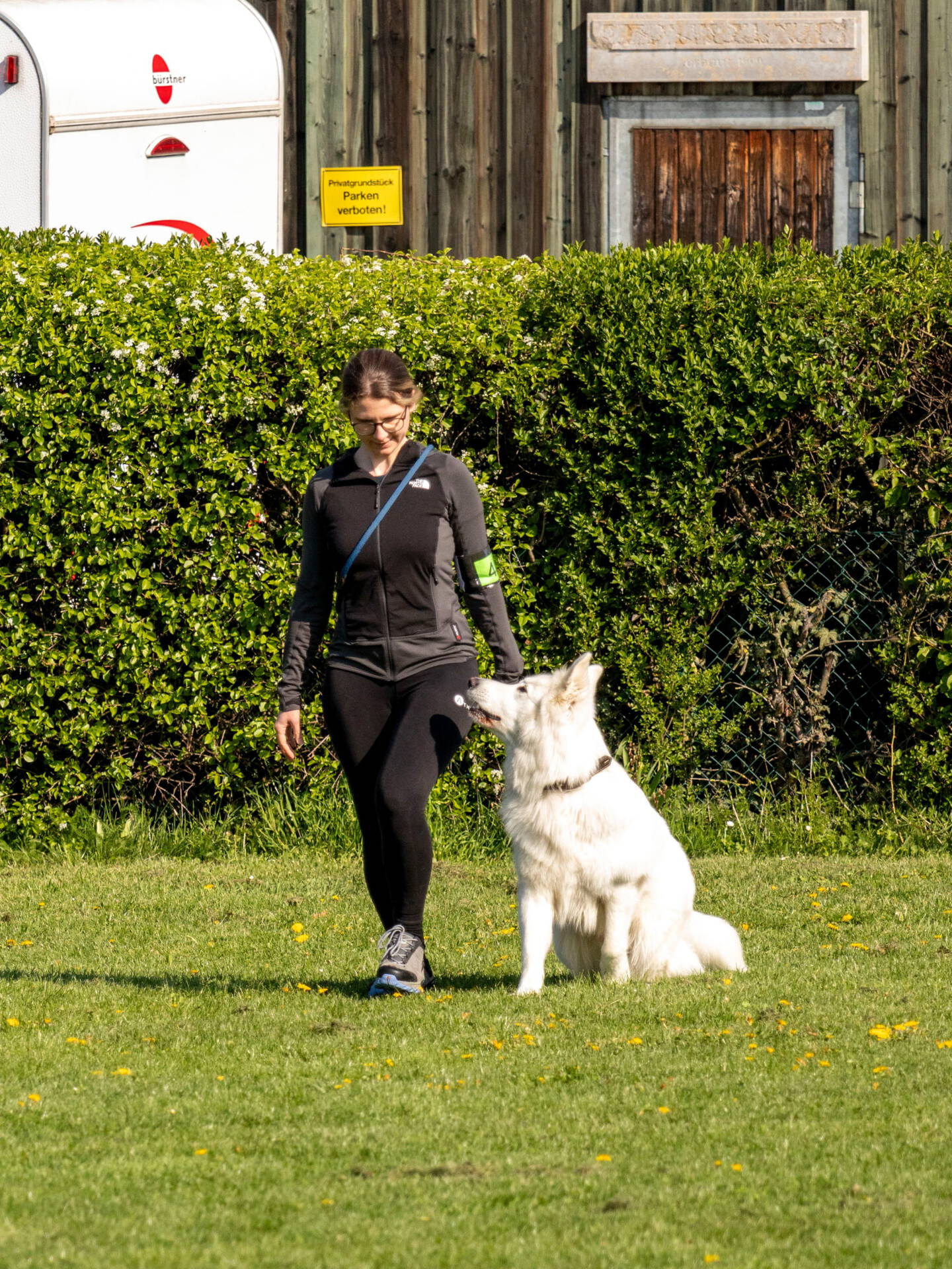 VdH Zuffenhausen SWVH KG 10 Kreismeisterschaft 2026