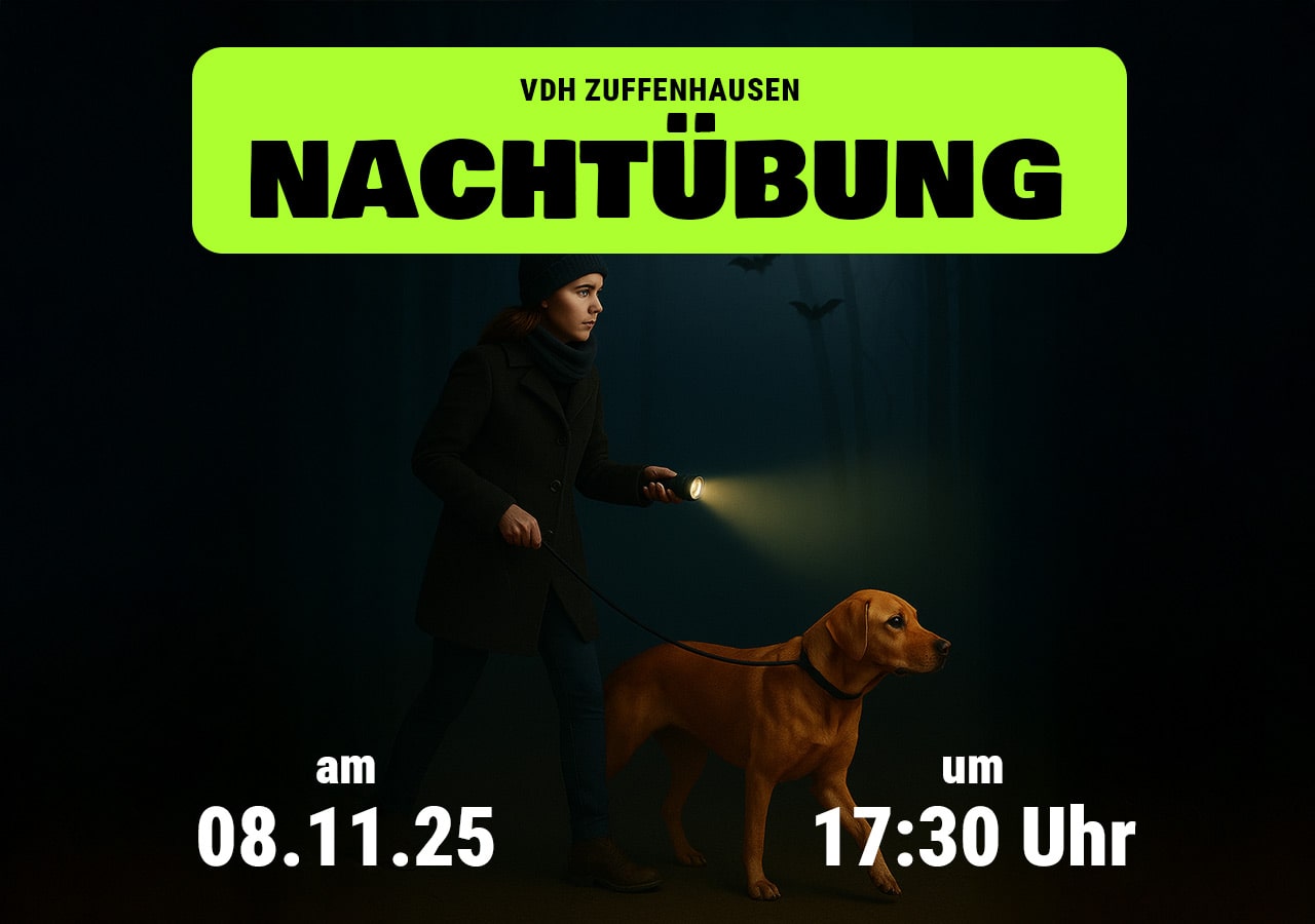 Nachtübung beim VdH Zuffenhausen 🌙