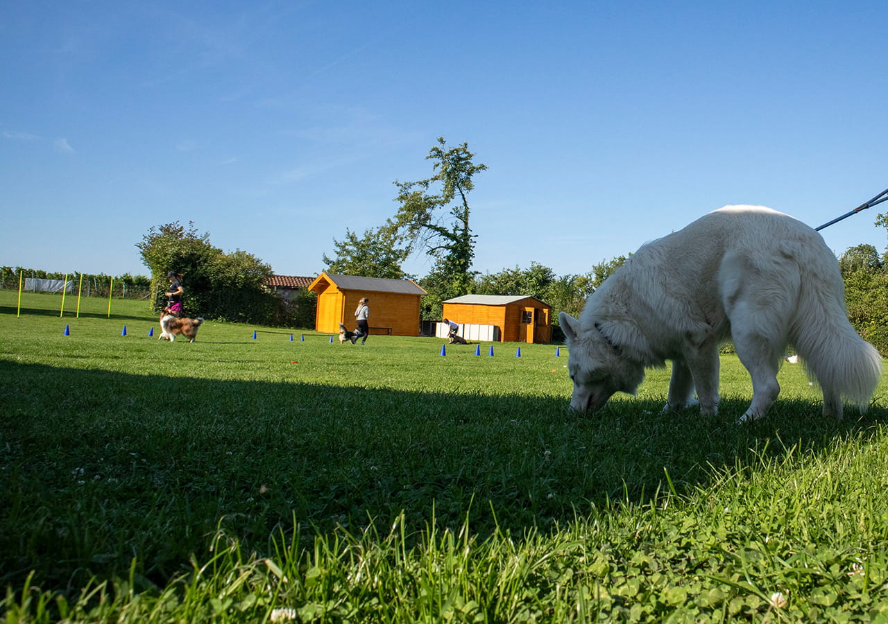 Saisonstart 2026 beim VdH Zuffenhausen 🐾