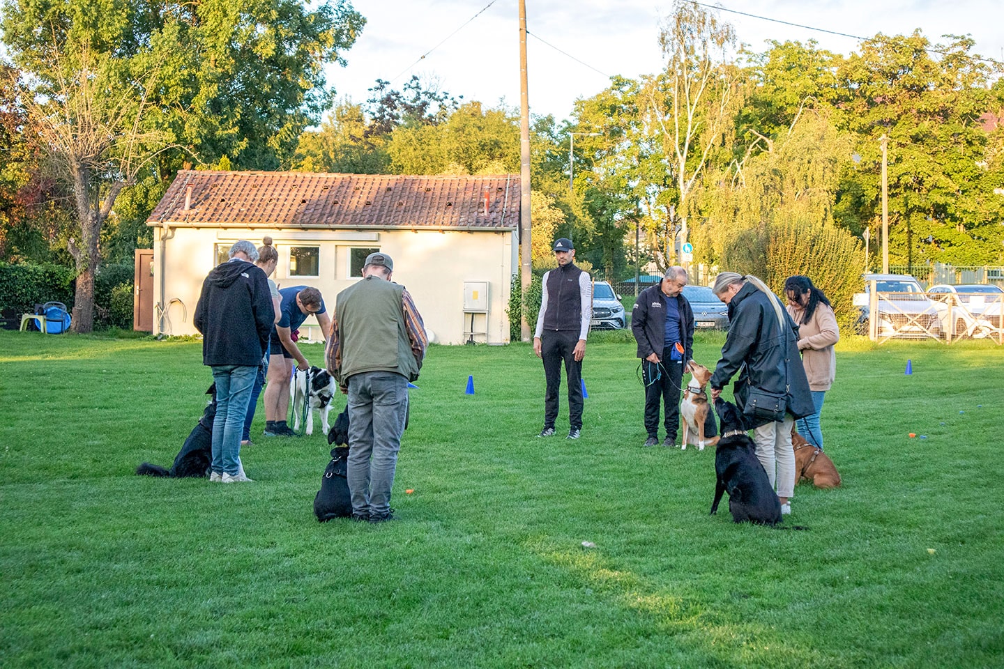 VdH Zuffenhausen Basisgruppen Impression