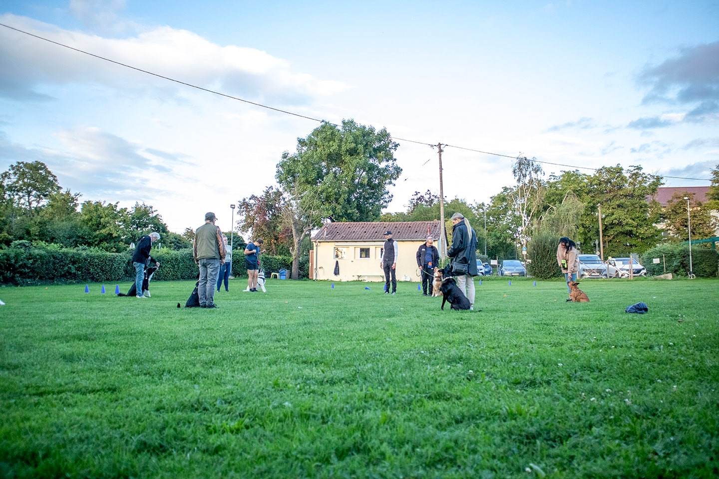 VdH Zuffenhausen Basisgruppen Impression