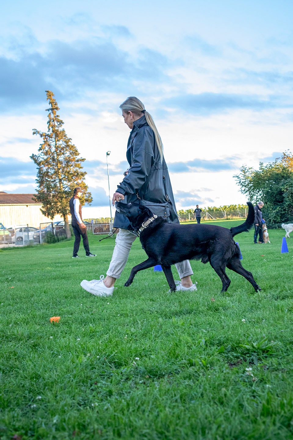 VdH Zuffenhausen Basisgruppen Impression