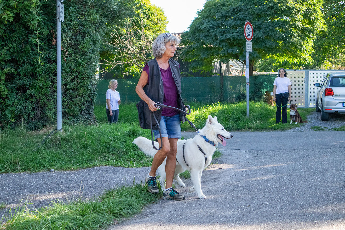 VdH Zuffenhausen Basisgruppen Impression