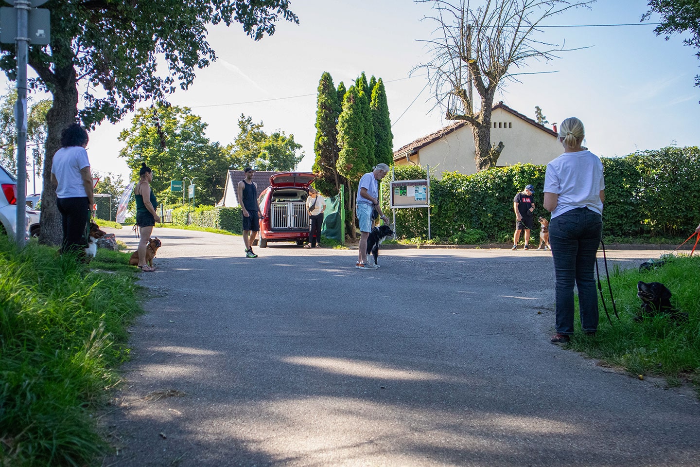 VdH Zuffenhausen Basisgruppen Impression