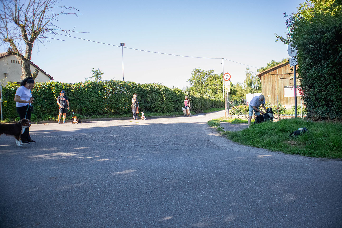 VdH Zuffenhausen Basisgruppen Impression