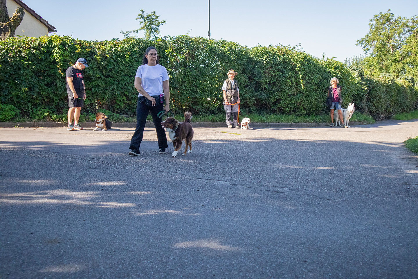 VdH Zuffenhausen Basisgruppen Impression