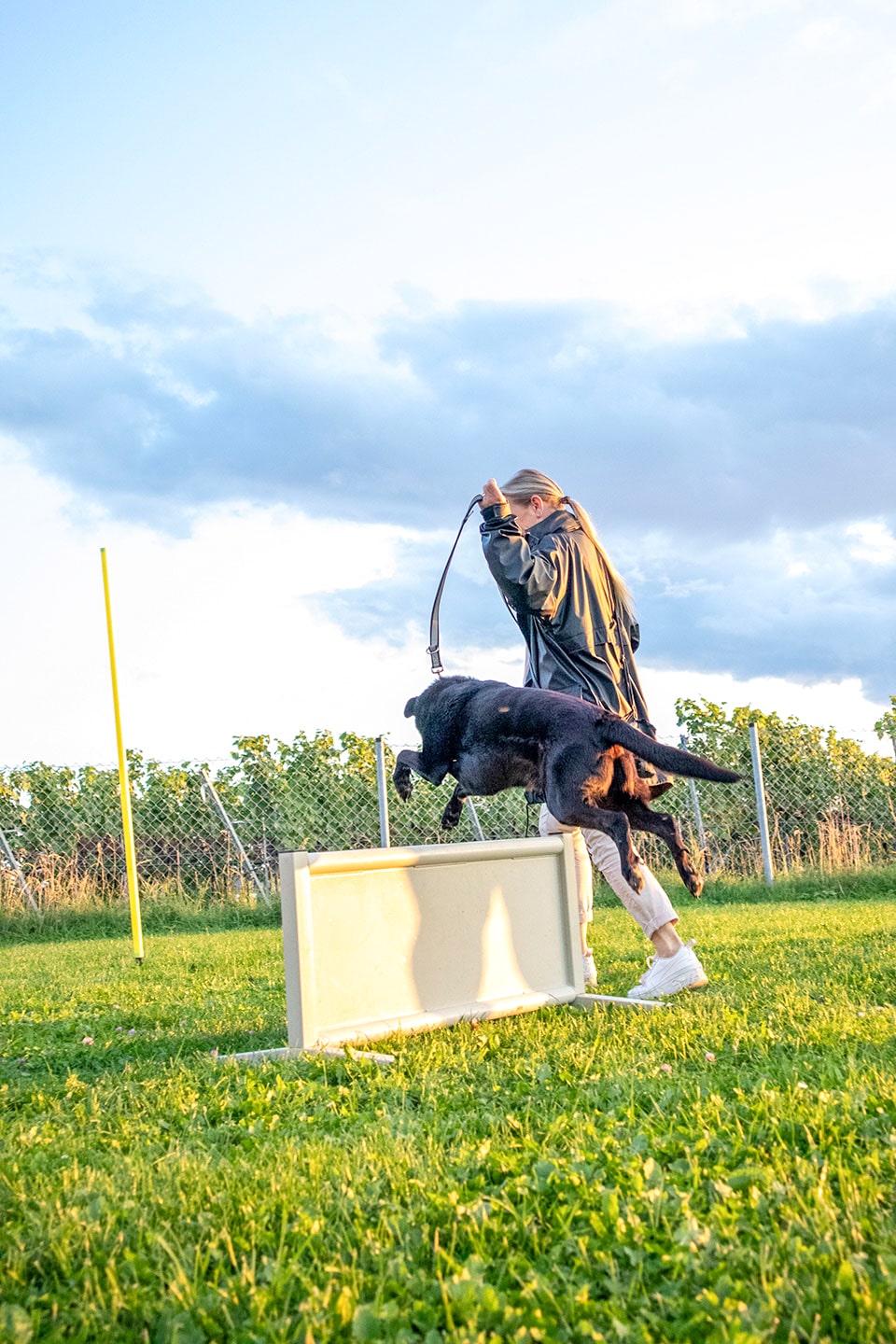 VdH Zuffenhausen Basisgruppen Impression