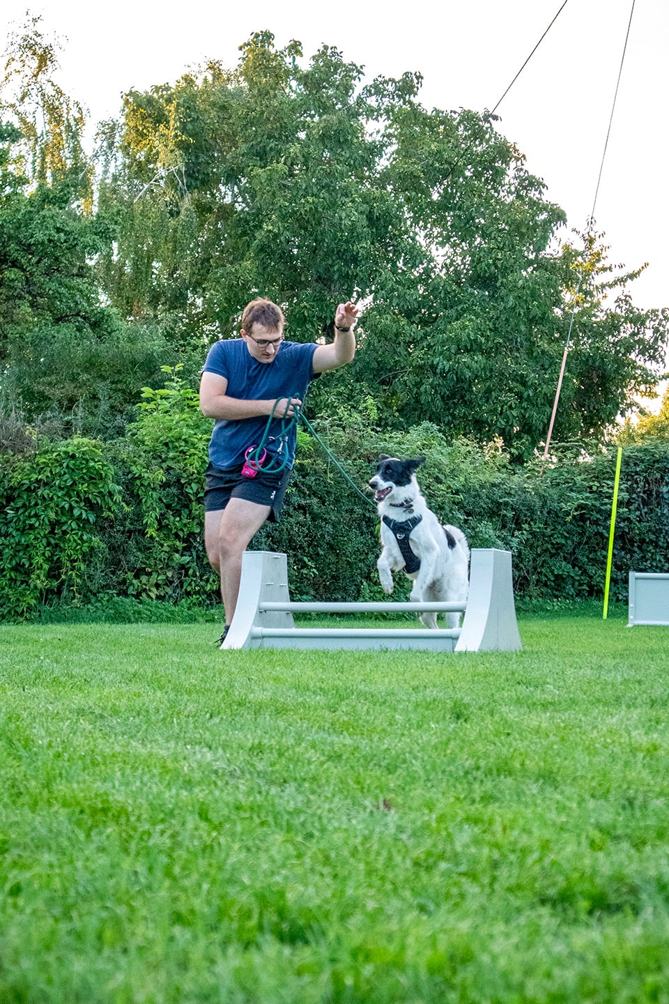 VdH Zuffenhausen Basisgruppen Impression