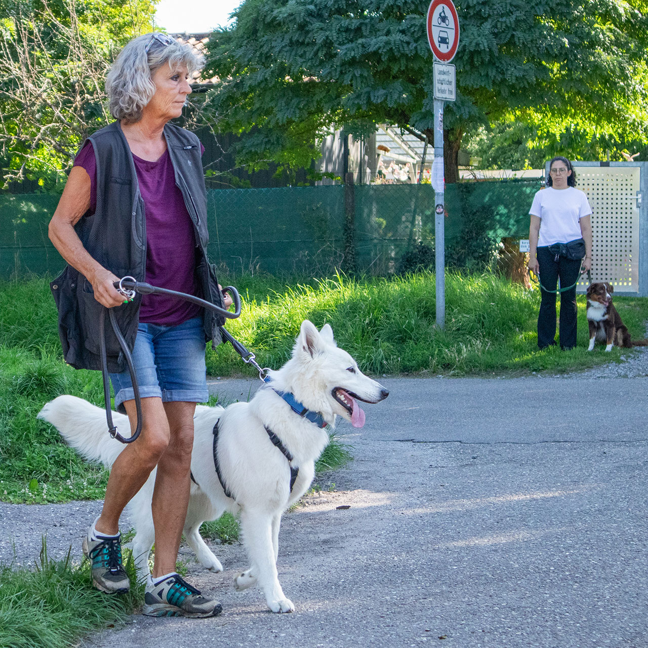 Foto von Basisgruppen