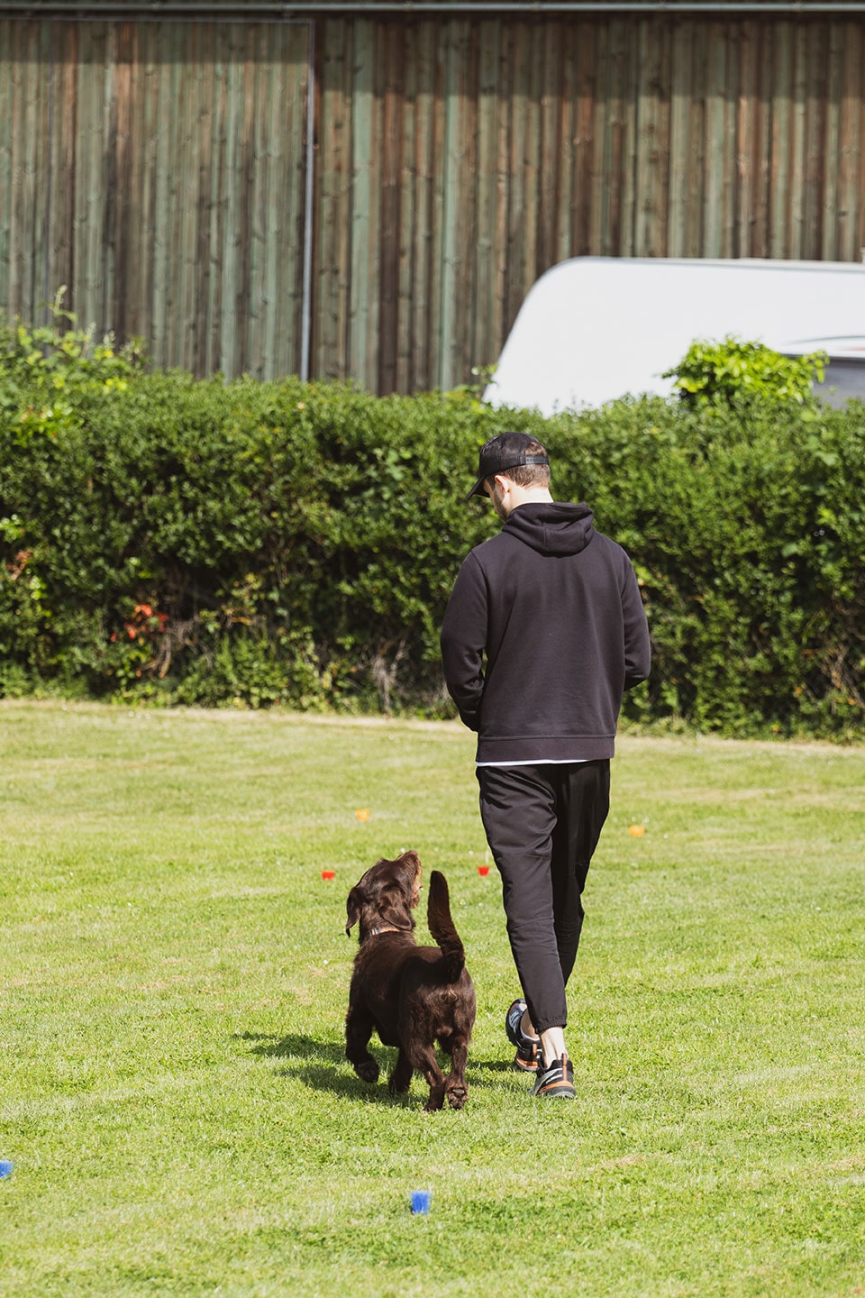 VdH Zuffenhausen Begleithundeprüfung BH/VT Impression