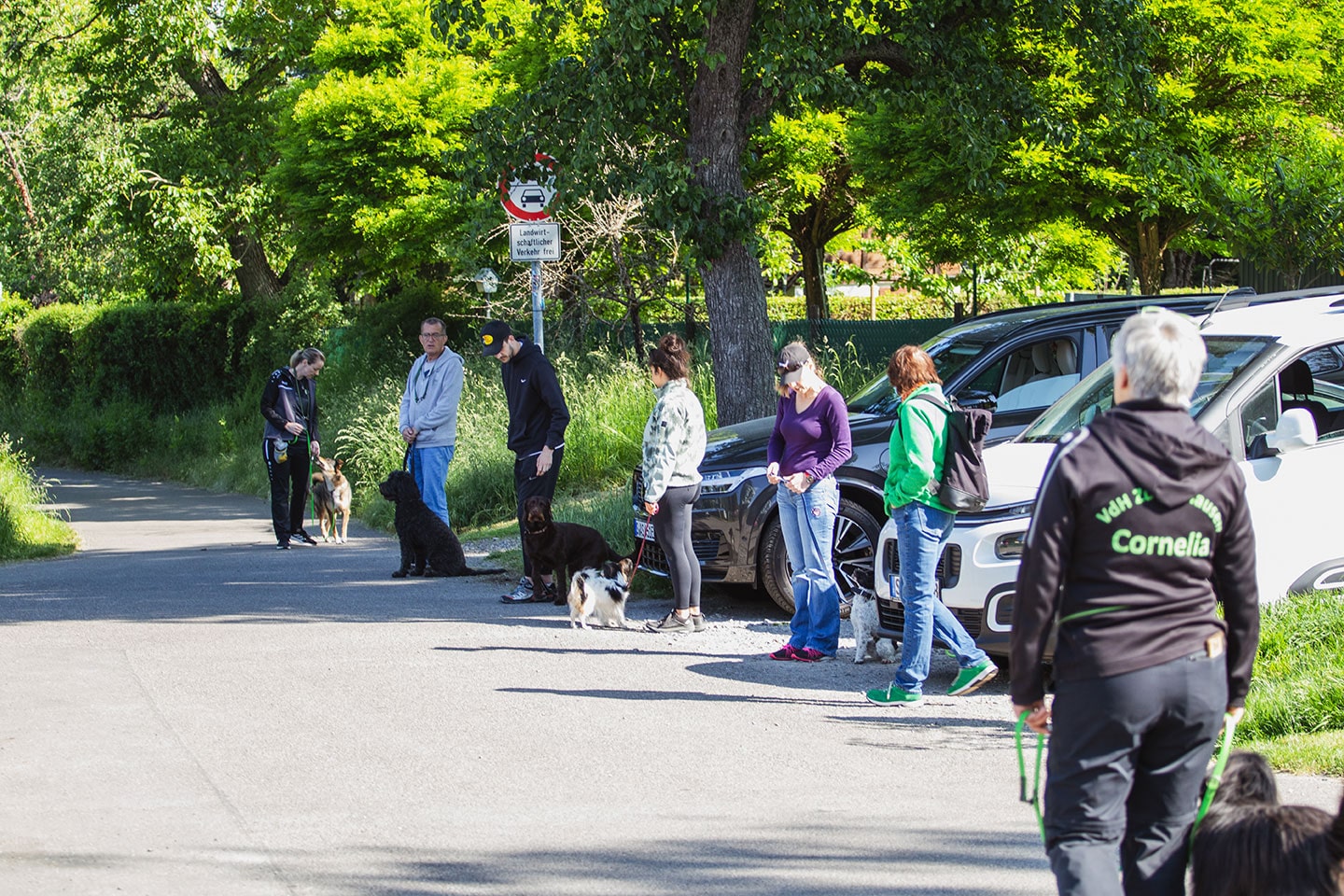 VdH Zuffenhausen Begleithundeprüfung BH/VT Impression