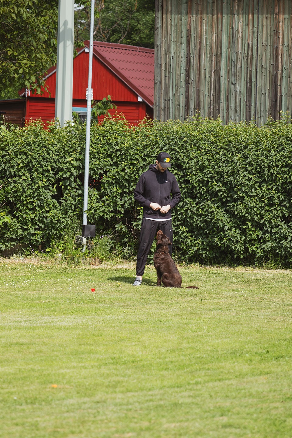 VdH Zuffenhausen Begleithundeprüfung BH/VT Impression