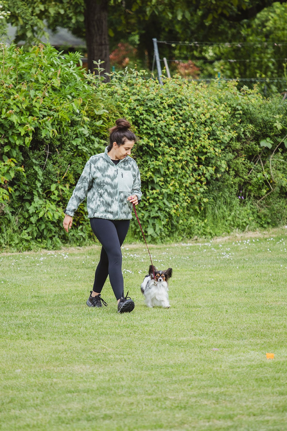 VdH Zuffenhausen Begleithundeprüfung BH/VT Impression