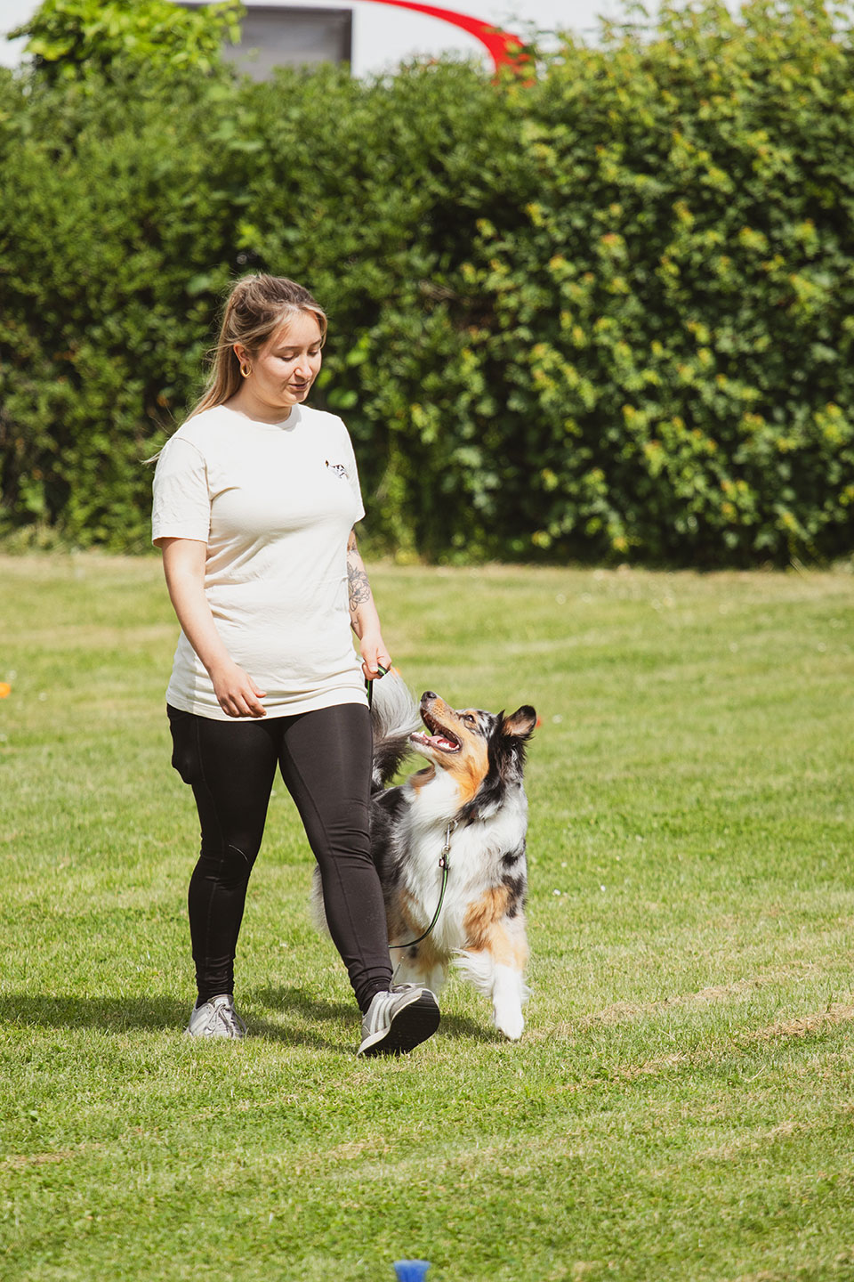 VdH Zuffenhausen Begleithundeprüfung BH/VT Impression
