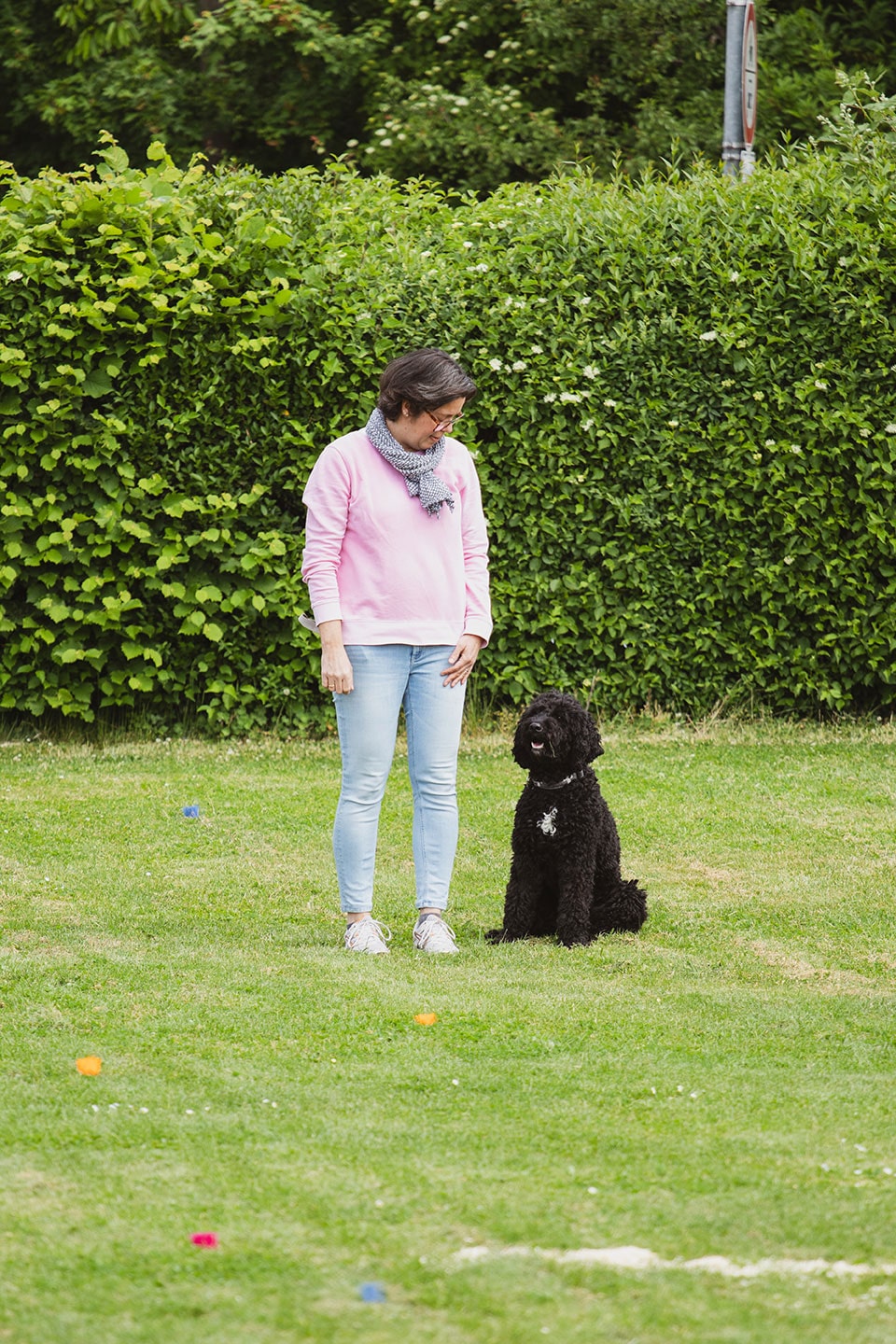 VdH Zuffenhausen Begleithundeprüfung BH/VT Impression