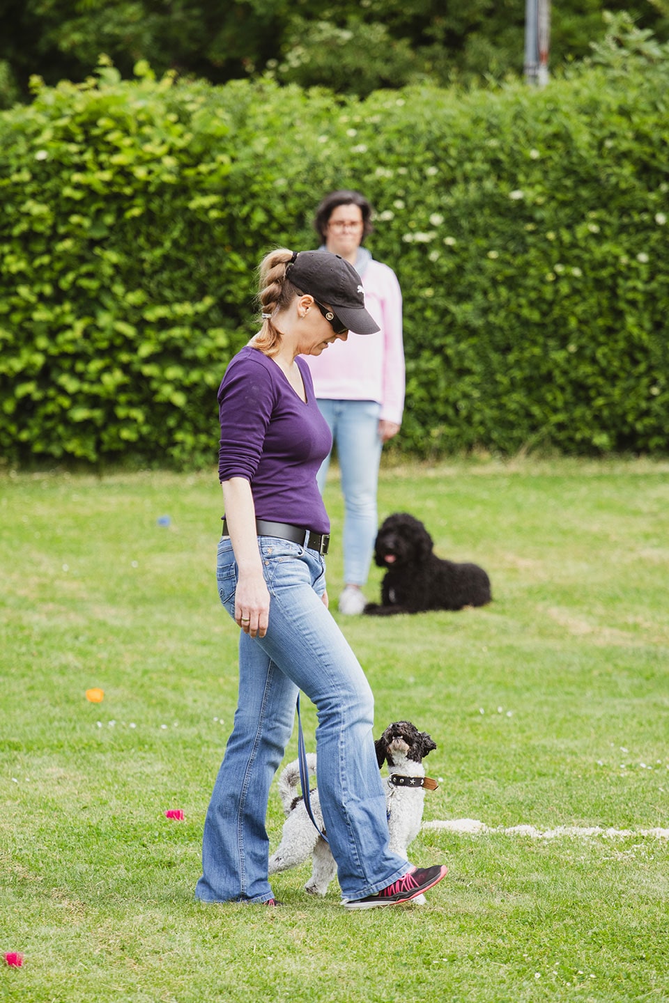 VdH Zuffenhausen Begleithundeprüfung BH/VT Impression