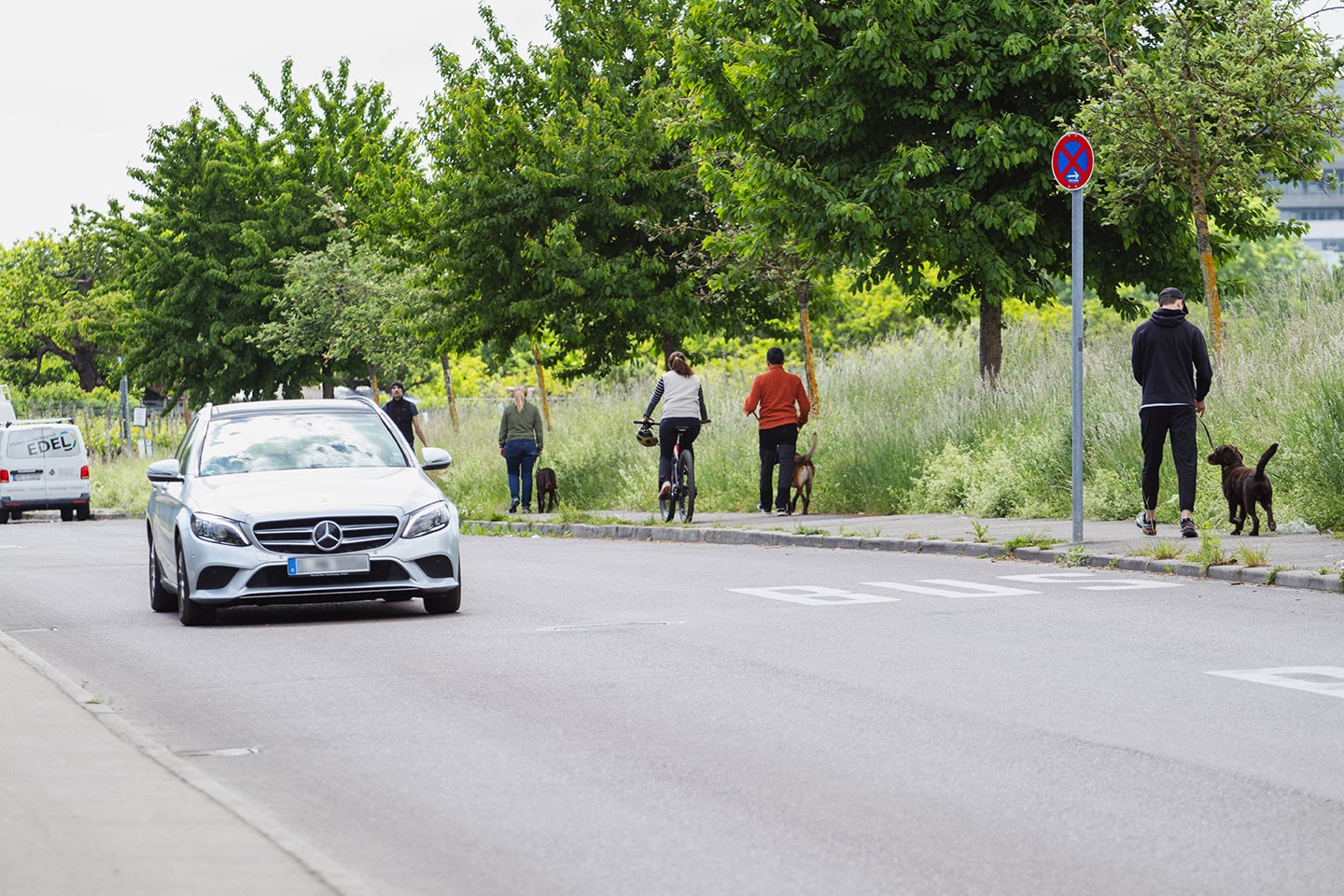 VdH Zuffenhausen Begleithundeprüfung BH/VT Impression