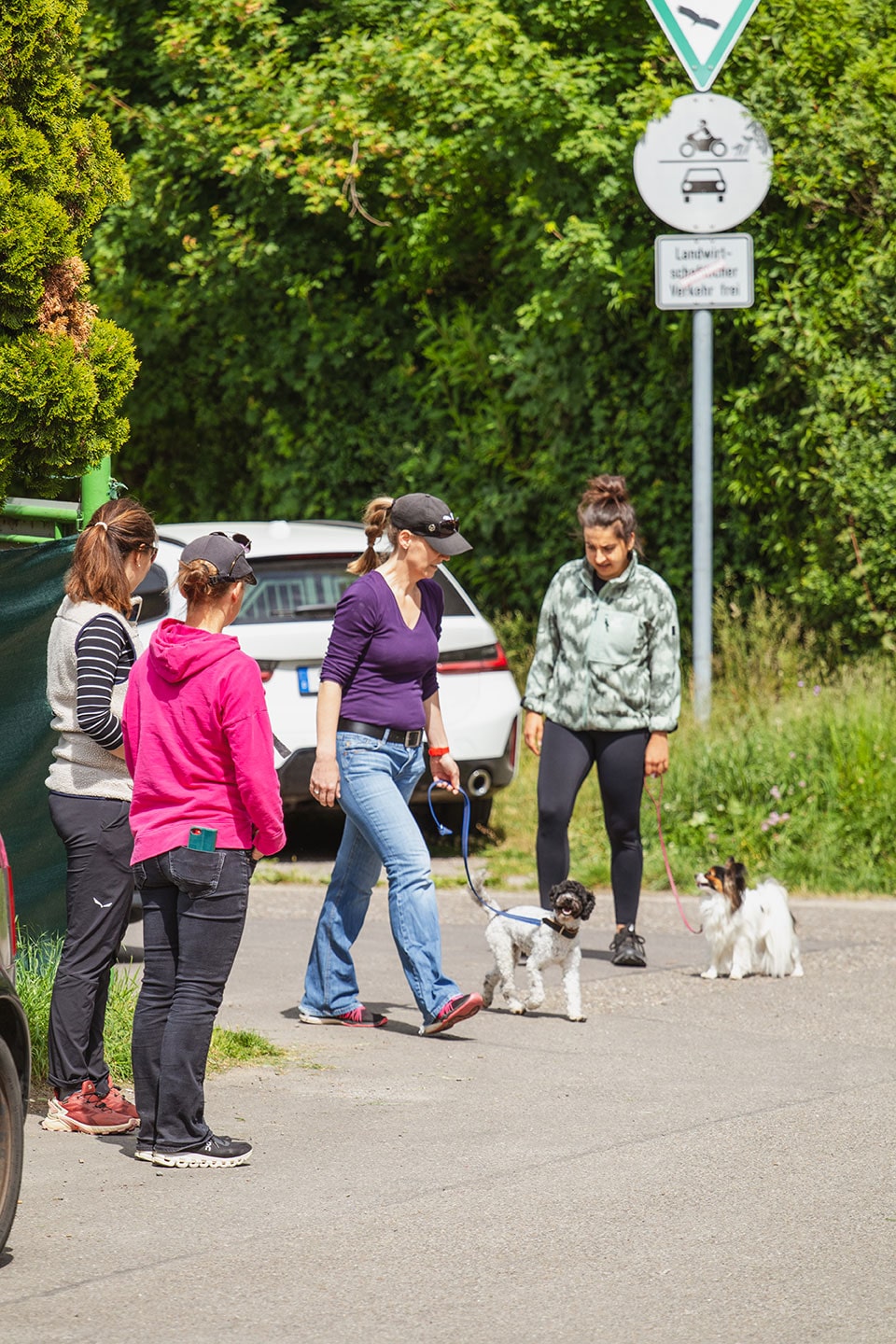 VdH Zuffenhausen Begleithundeprüfung BH/VT Impression