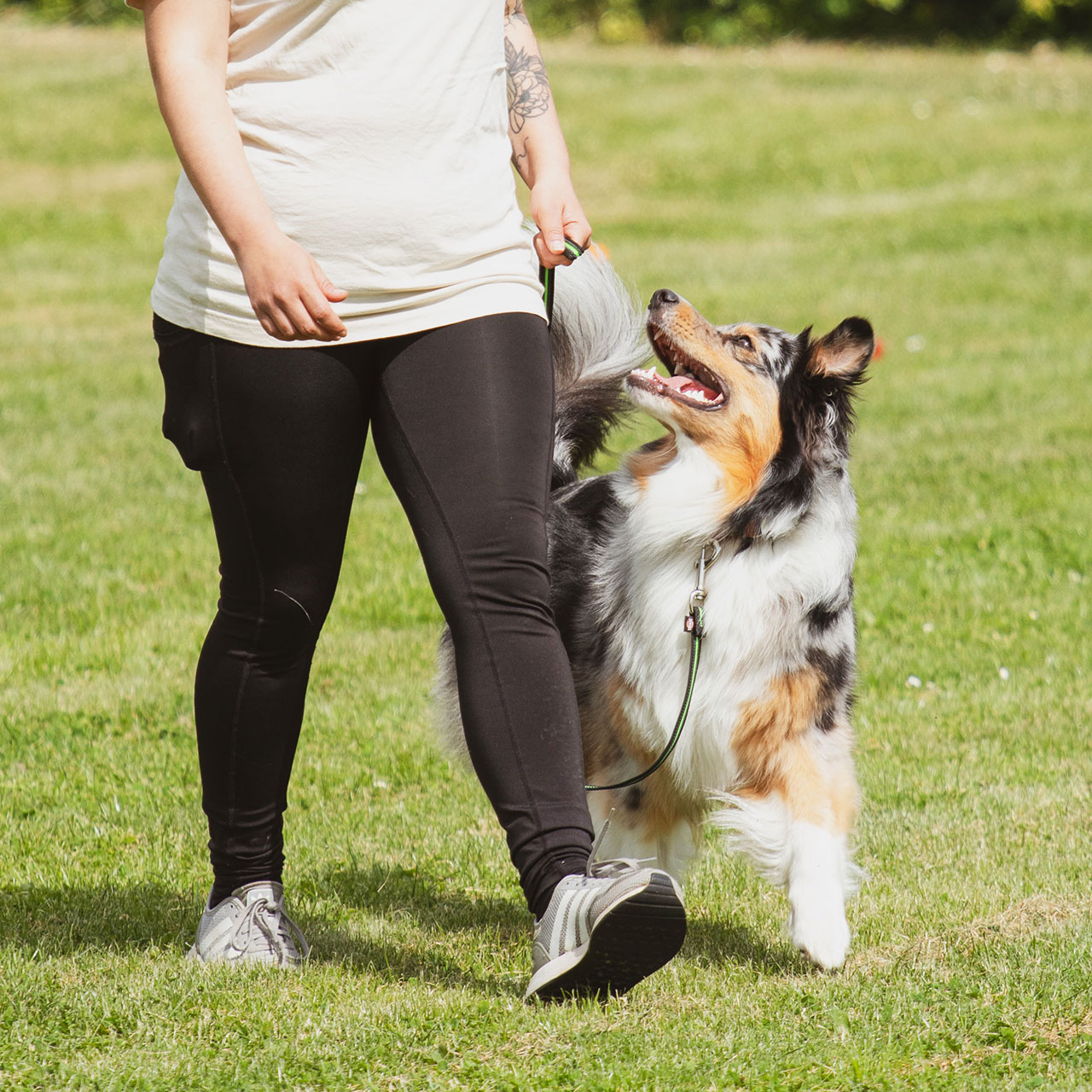 Foto von Begleithundeprüfung (BH/VT)