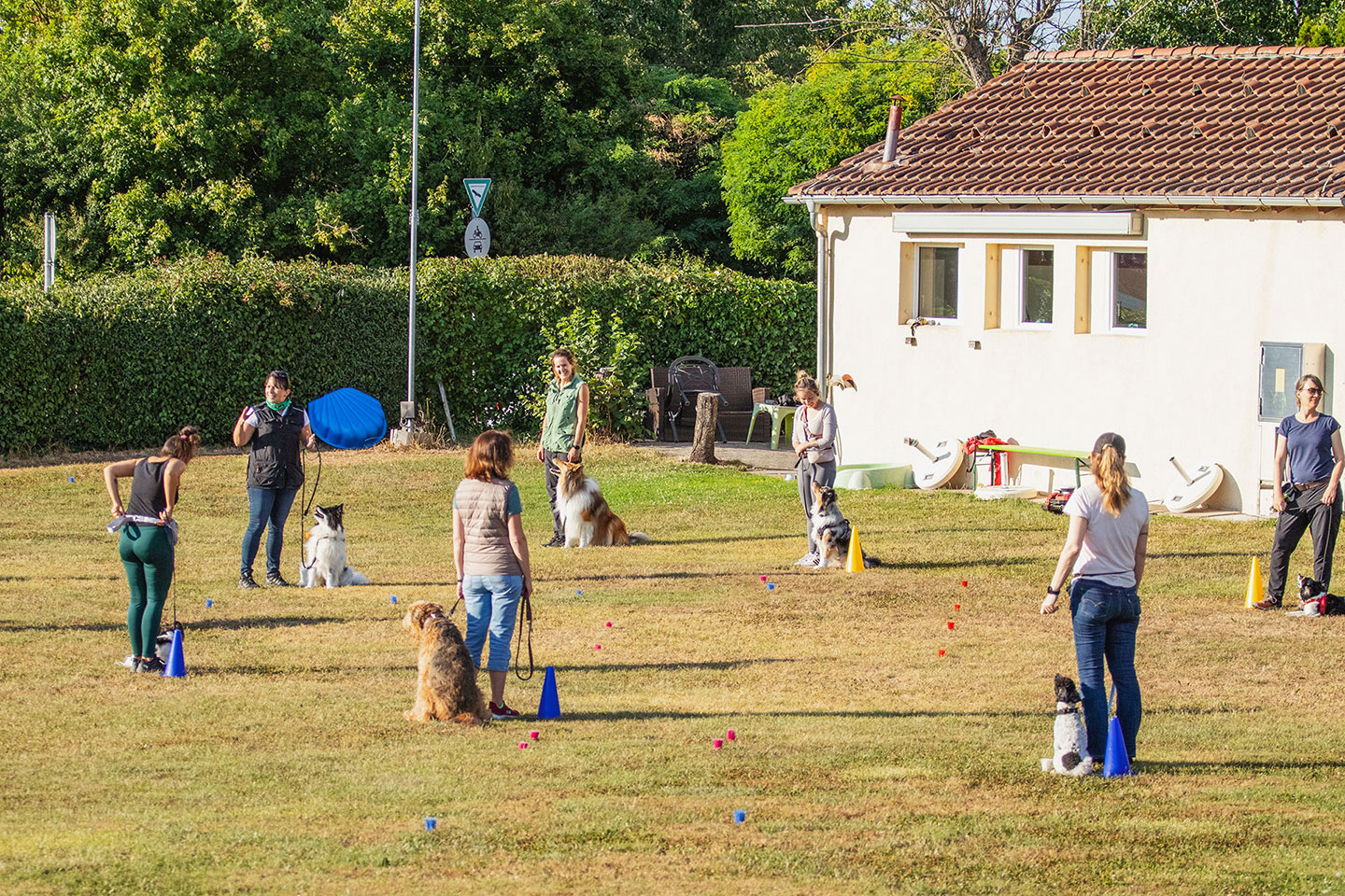 VdH Zuffenhausen Crazy Dogs Gruppe Impression