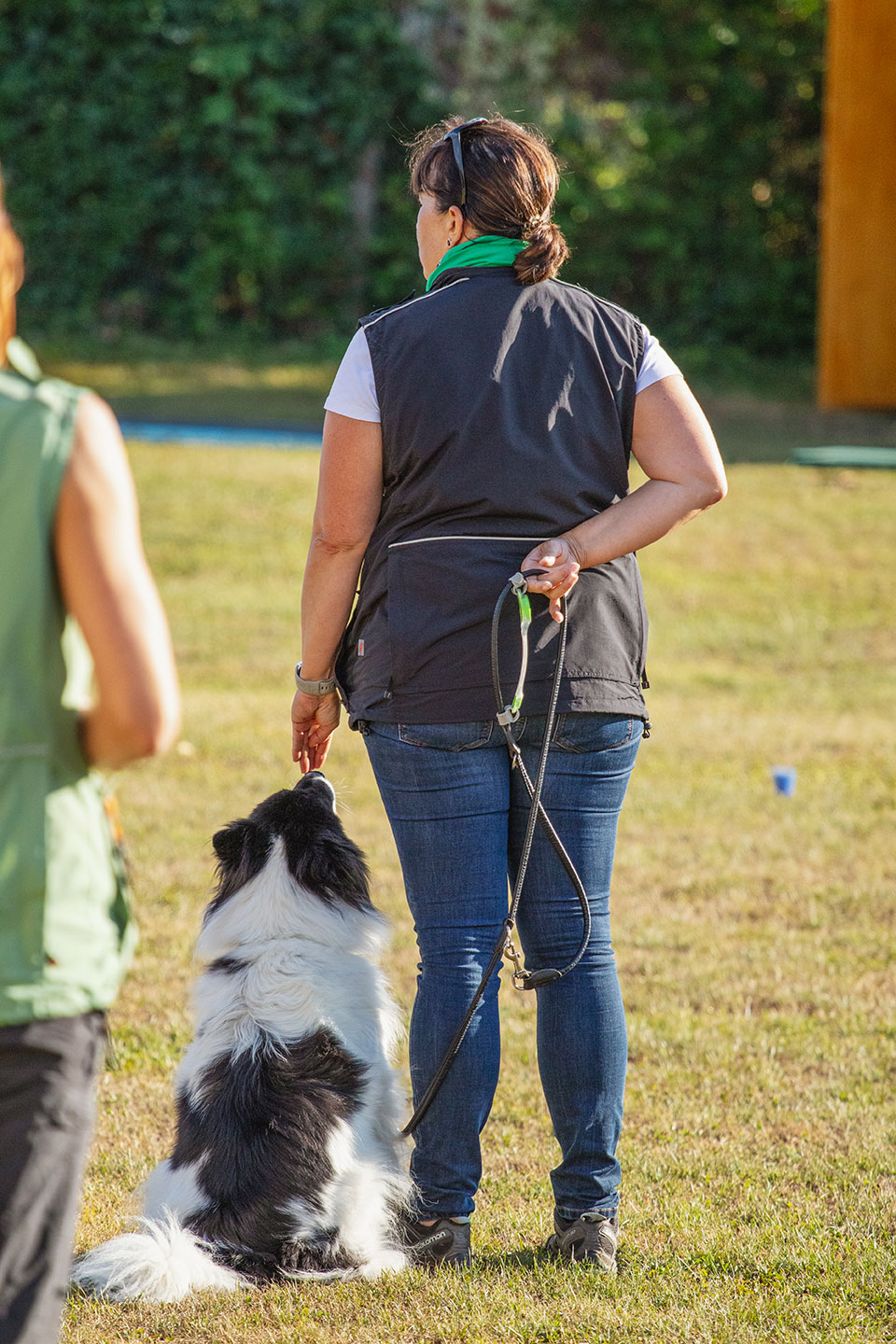 VdH Zuffenhausen Crazy Dogs Gruppe Impression