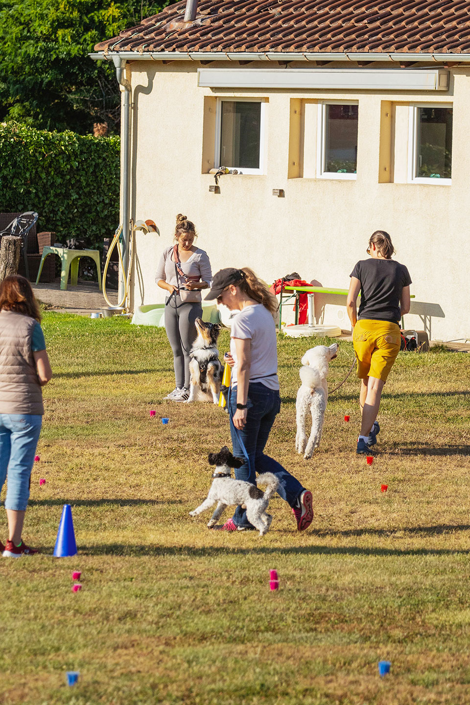 VdH Zuffenhausen Crazy Dogs Gruppe Impression