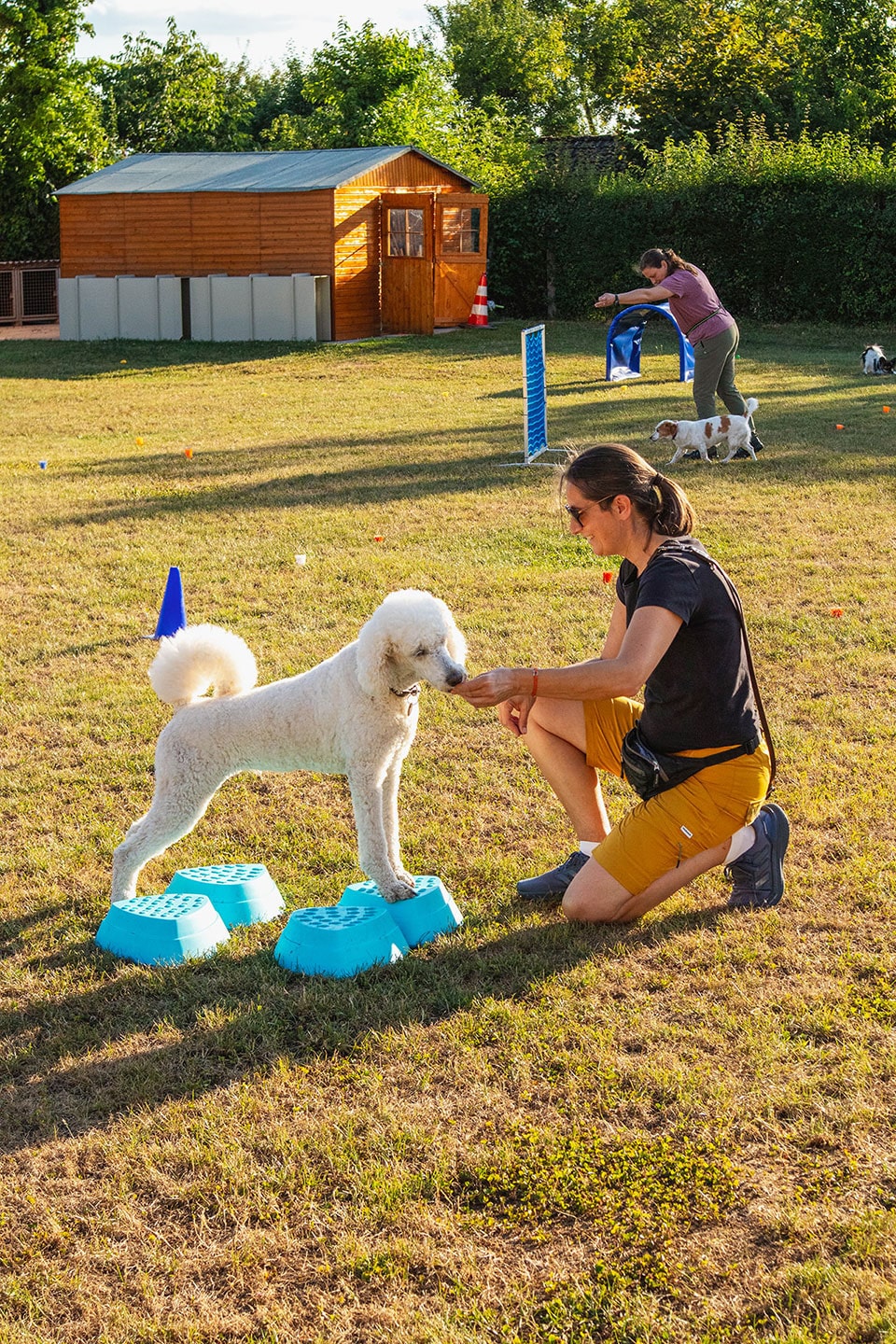 VdH Zuffenhausen Crazy Dogs Gruppe Impression