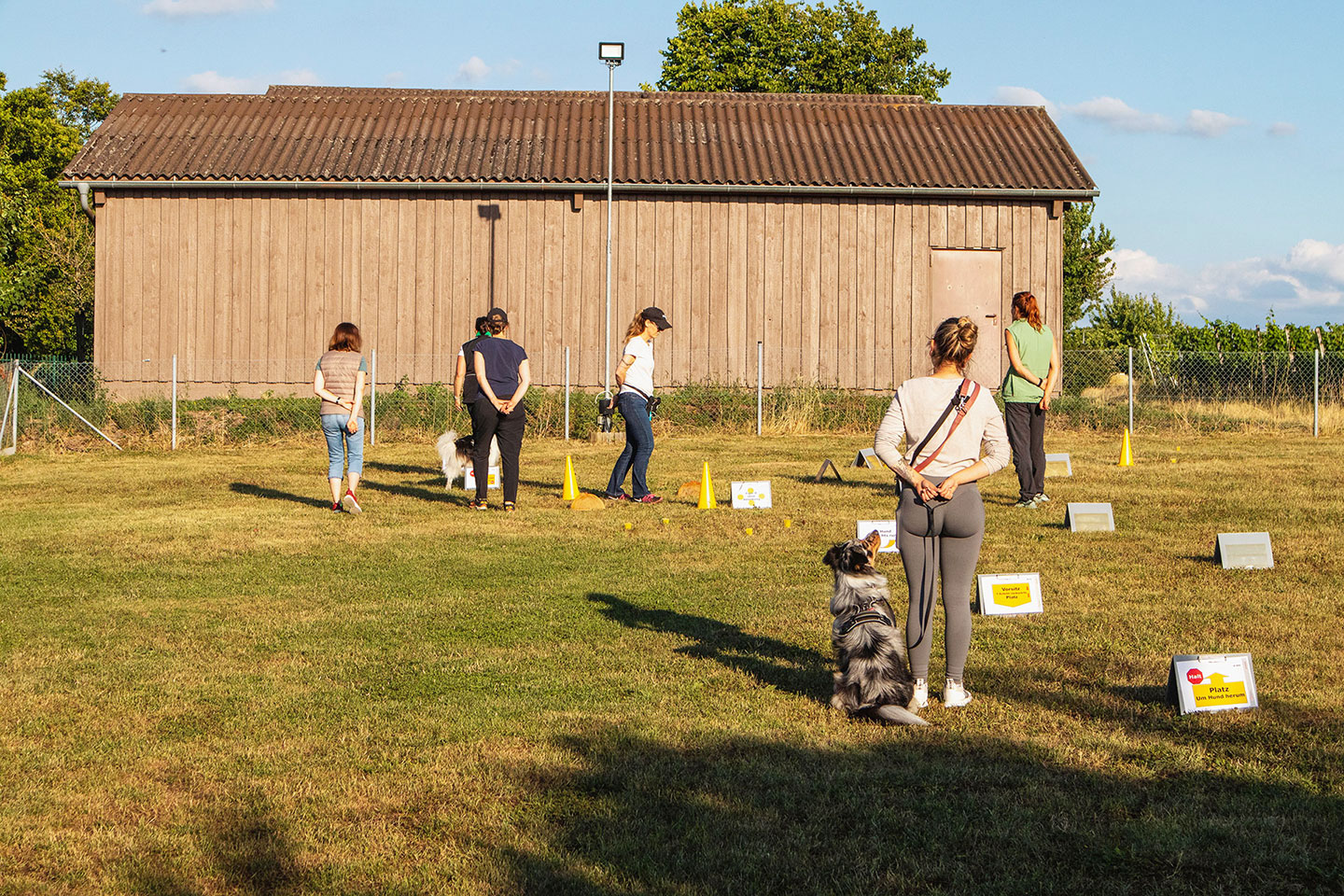 VdH Zuffenhausen Crazy Dogs Gruppe Impression