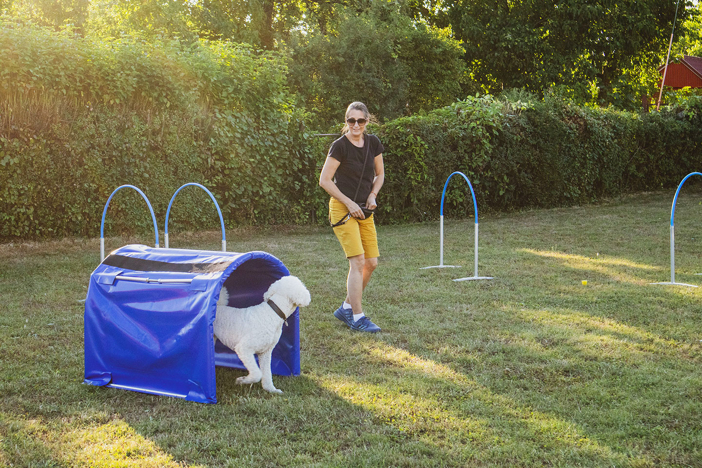 VdH Zuffenhausen Crazy Dogs Gruppe Impression