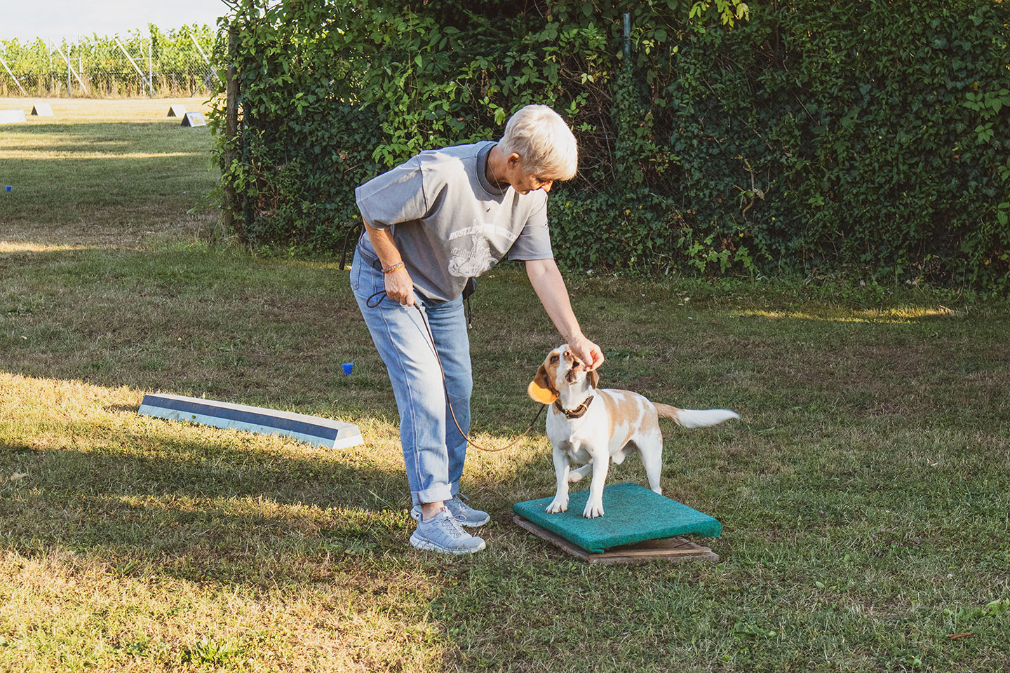 VdH Zuffenhausen Crazy Dogs Gruppe Impression