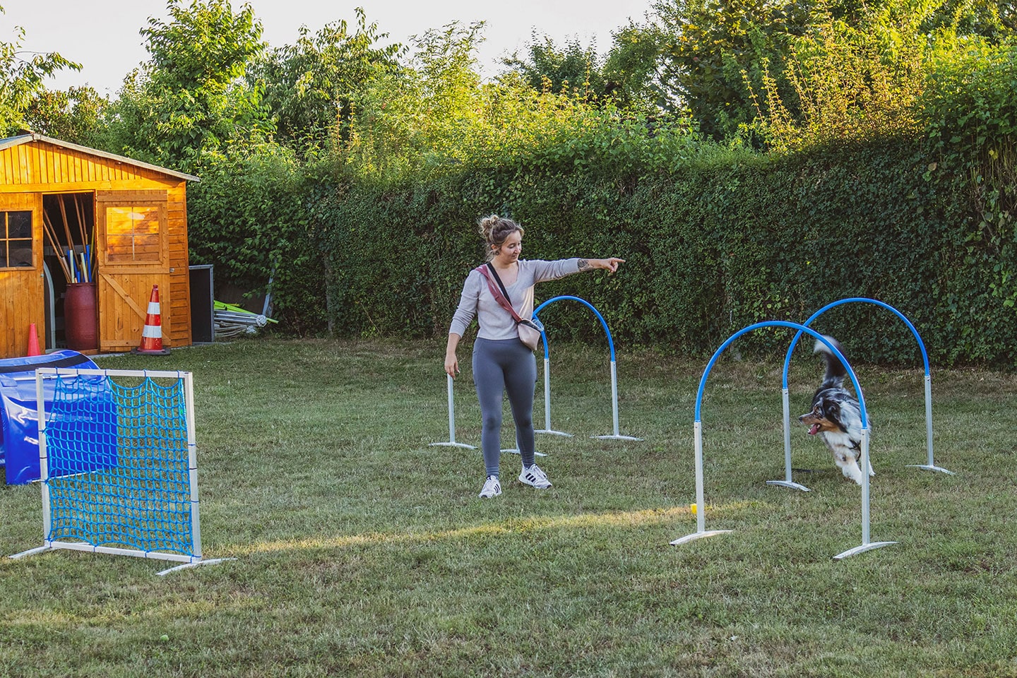 VdH Zuffenhausen Crazy Dogs Gruppe Impression