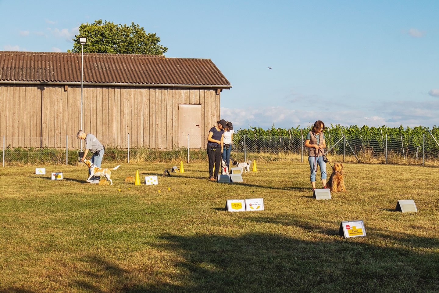 VdH Zuffenhausen Crazy Dogs Gruppe Impression