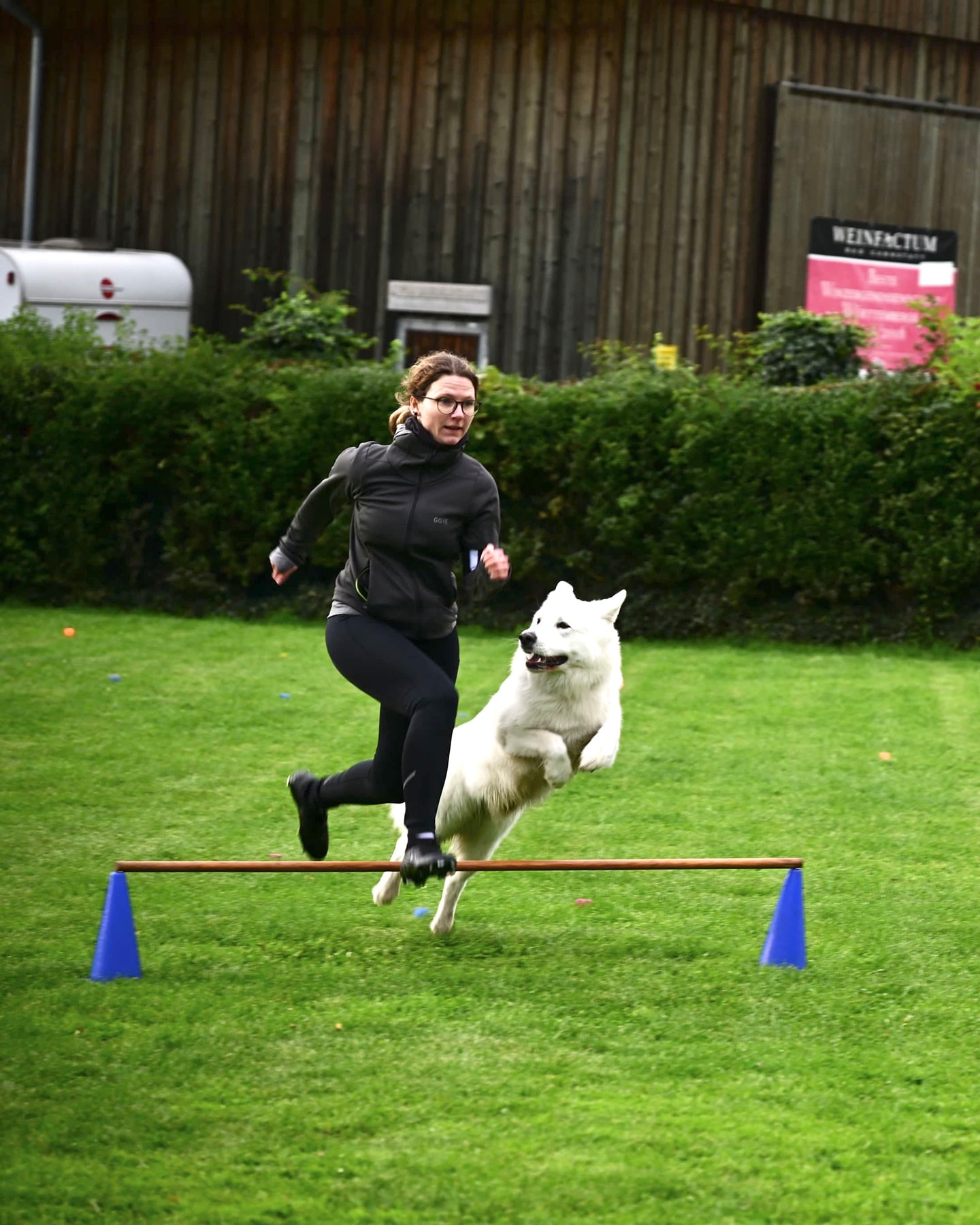 VdH Zuffenhausen Herbstfest 2025 mit THS Fun-Turnier Impression