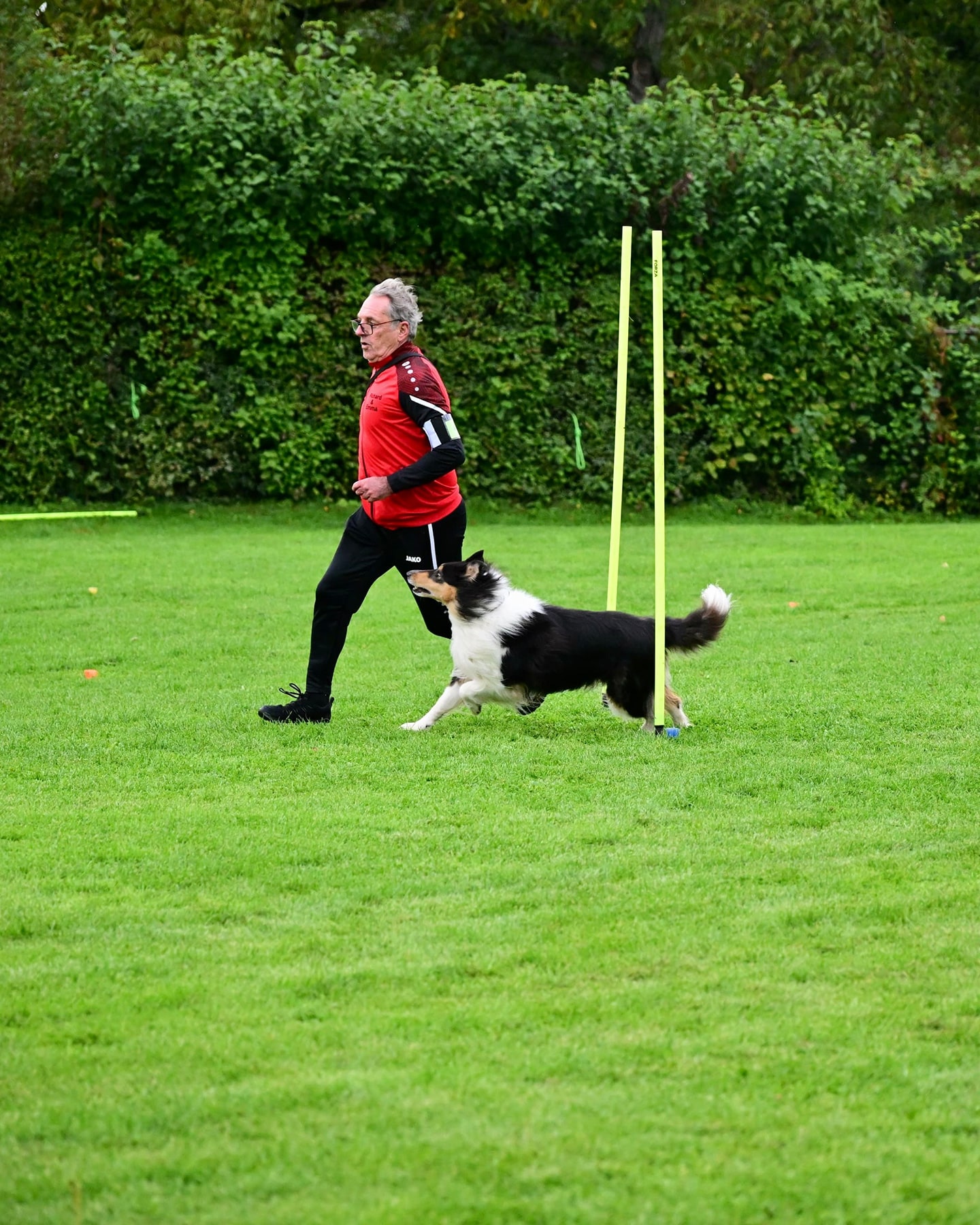 VdH Zuffenhausen Herbstfest 2025 mit THS Fun-Turnier Impression