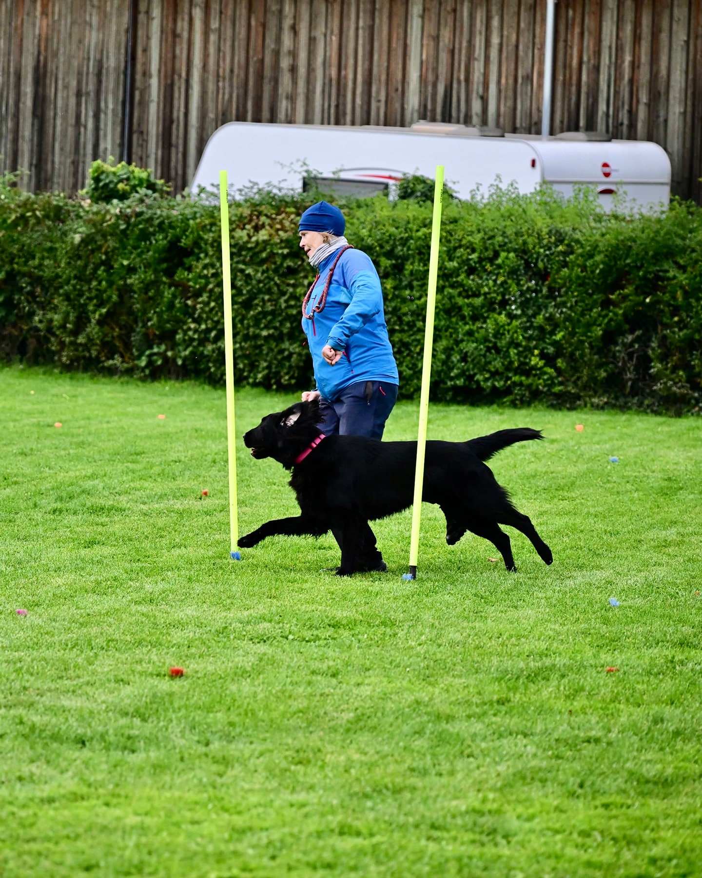 VdH Zuffenhausen Herbstfest 2025 mit THS Fun-Turnier Impression