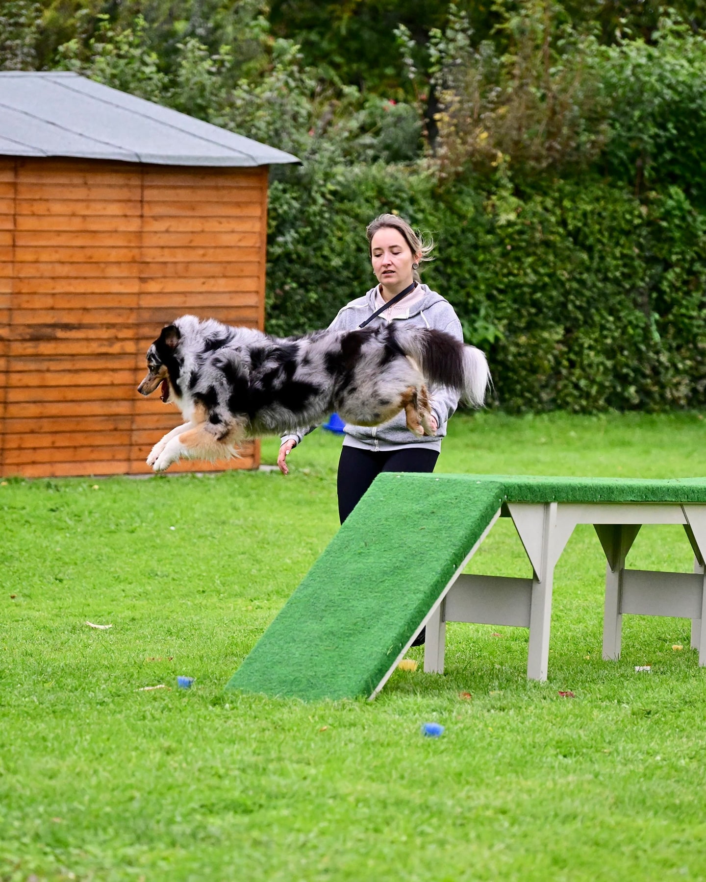 VdH Zuffenhausen Herbstfest 2025 mit THS Fun-Turnier Impression