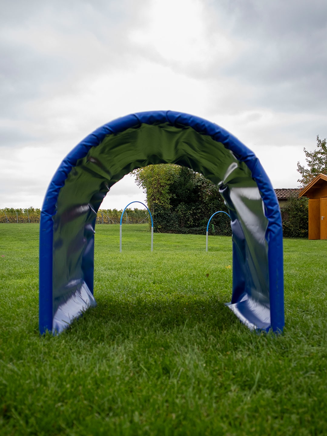 VdH Zuffenhausen – Hoopers Seminar Impressionen