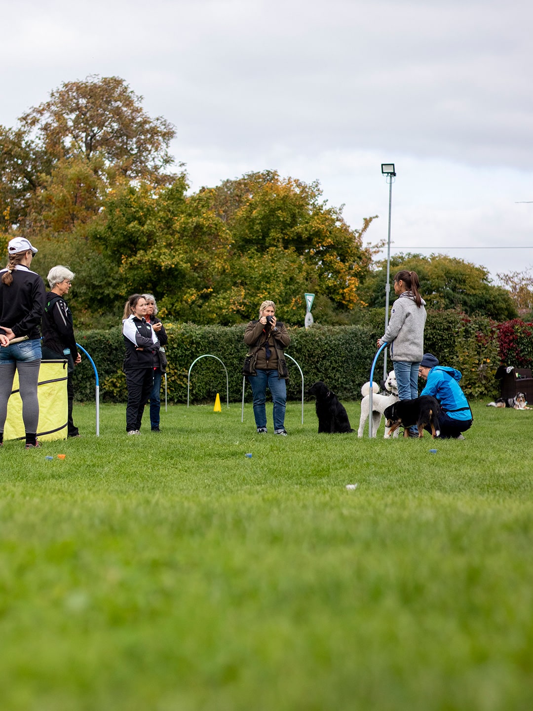 VdH Zuffenhausen – Hoopers Seminar Impressionen