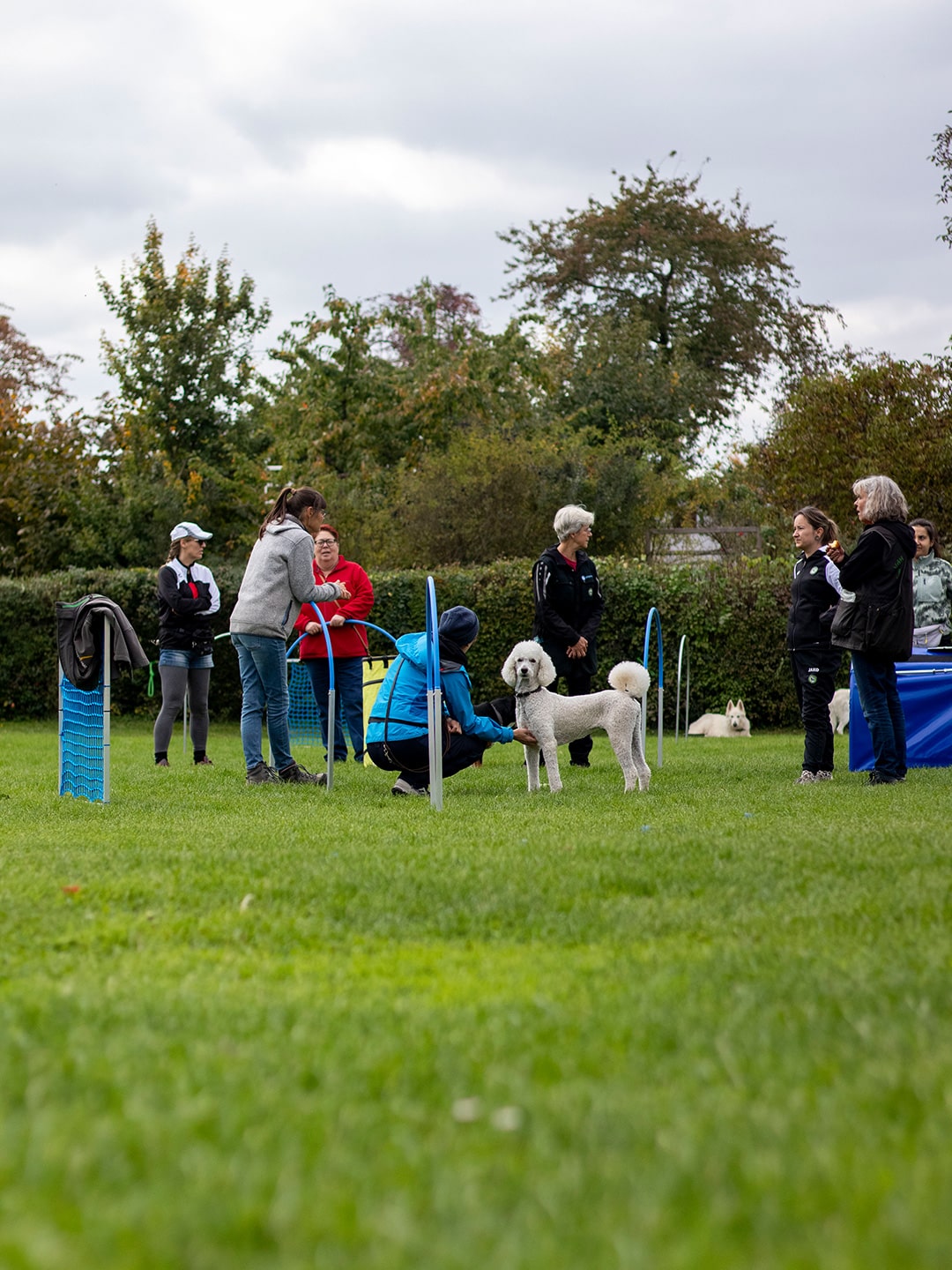 VdH Zuffenhausen – Hoopers Seminar Impressionen