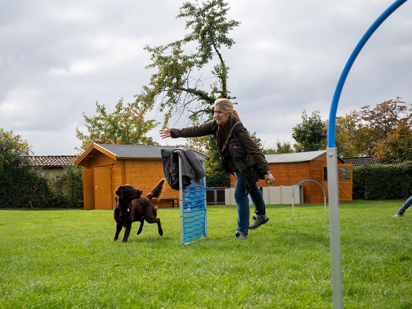 Hoopers-Seminar beim VdH Zuffenhausen 🐾