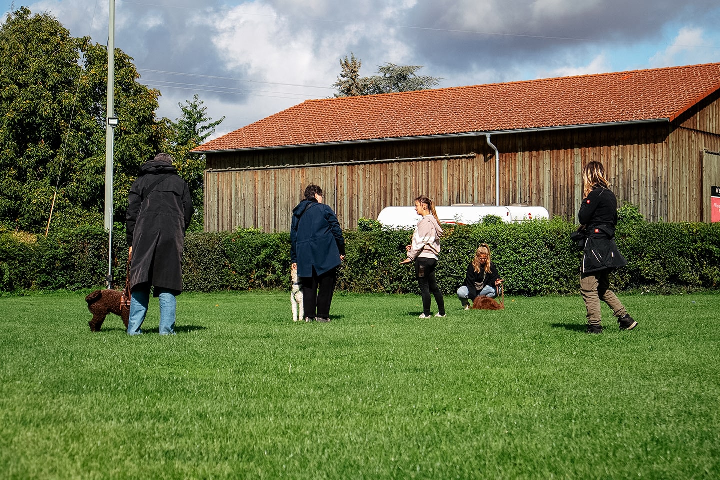 VdH Zuffenhausen Junghundeschule Impression