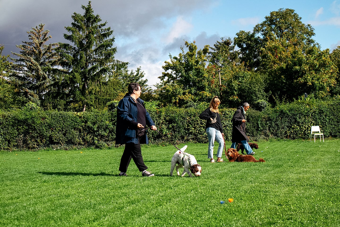 VdH Zuffenhausen Junghundeschule Impression