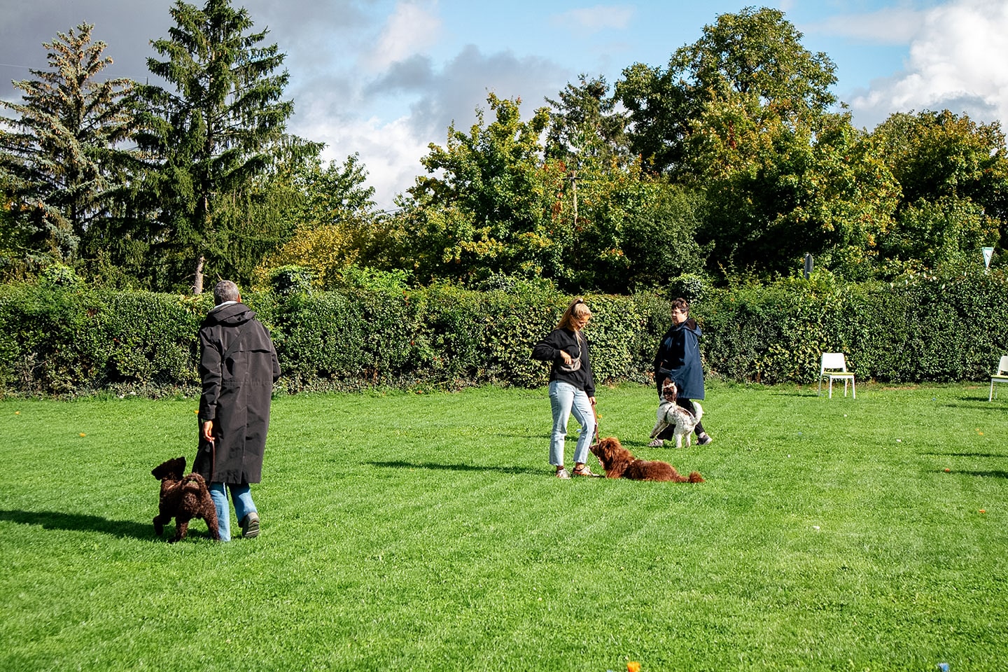 VdH Zuffenhausen Junghundeschule Impression