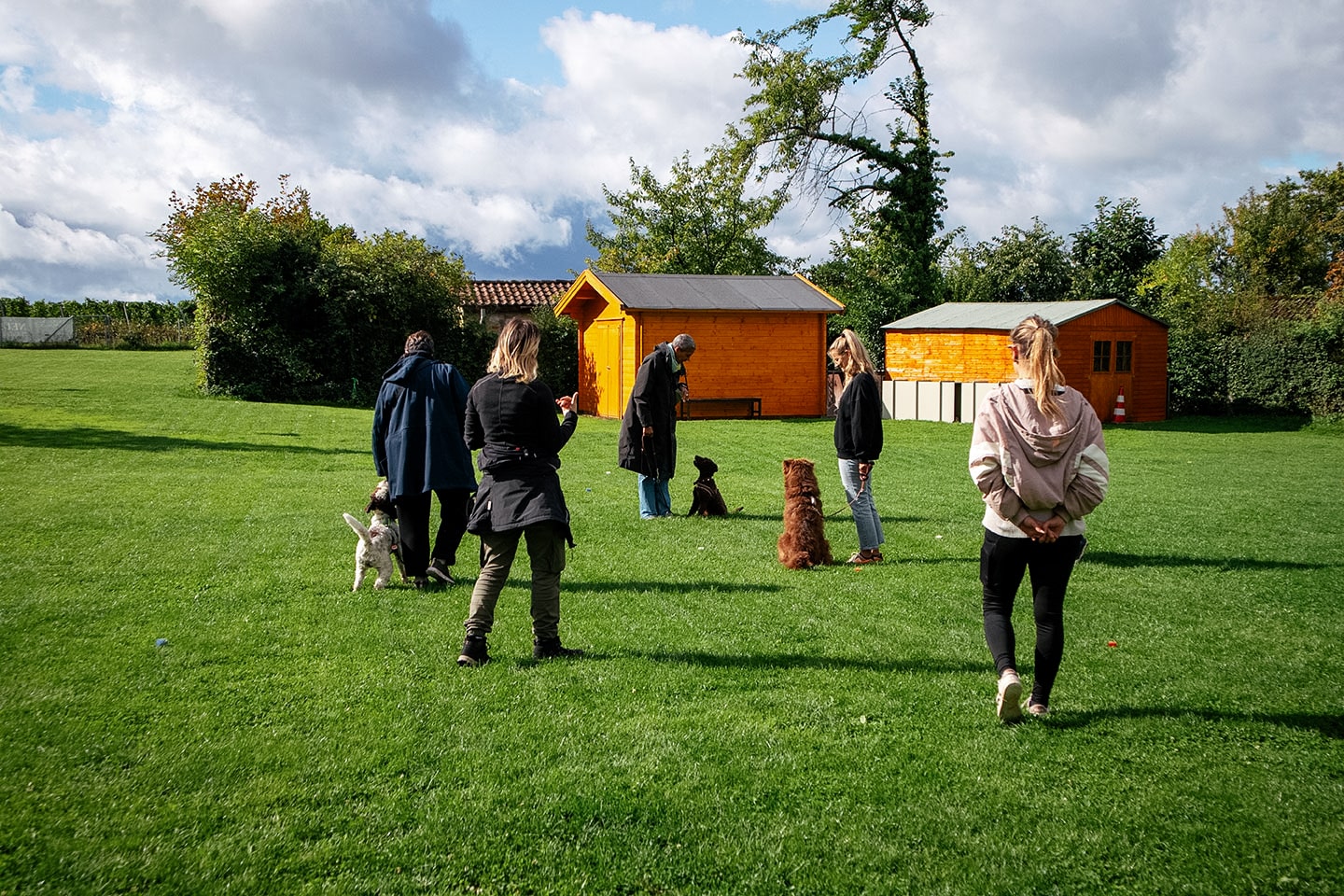 VdH Zuffenhausen Junghundeschule Impression