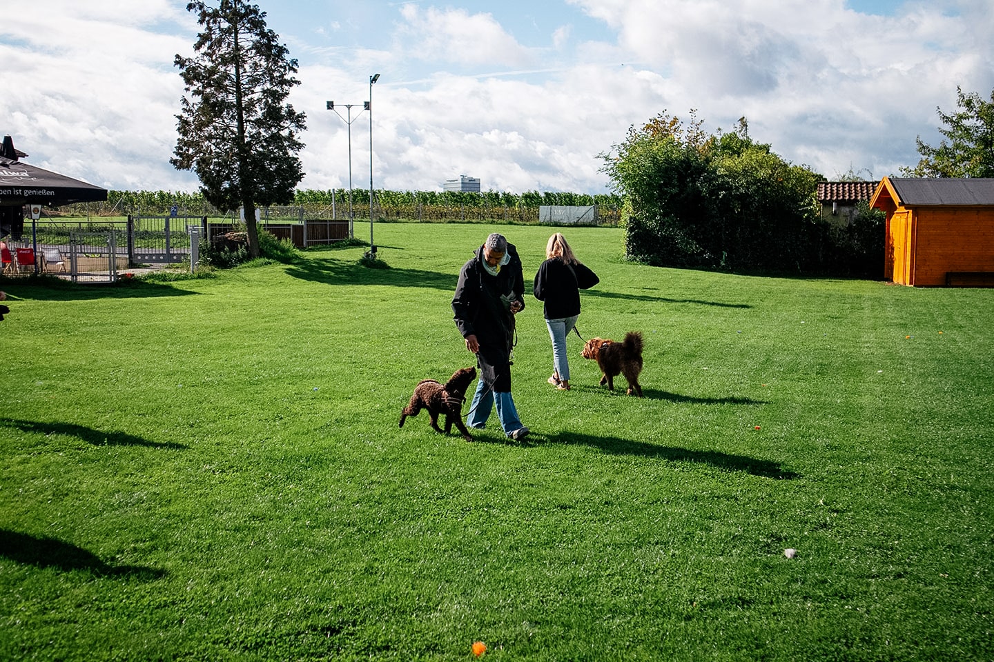 VdH Zuffenhausen Junghundeschule Impression